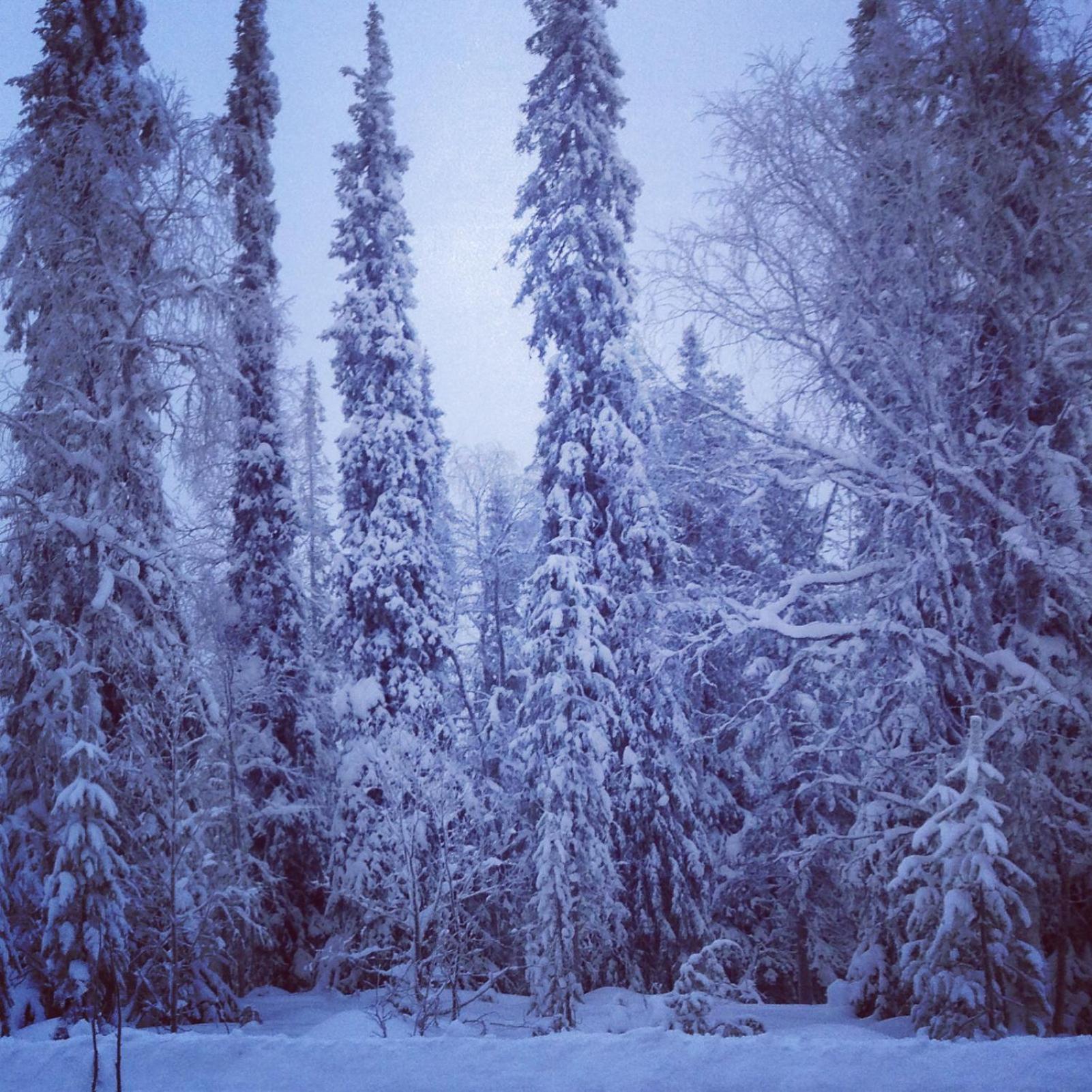 Villa Kuukkeli view 2