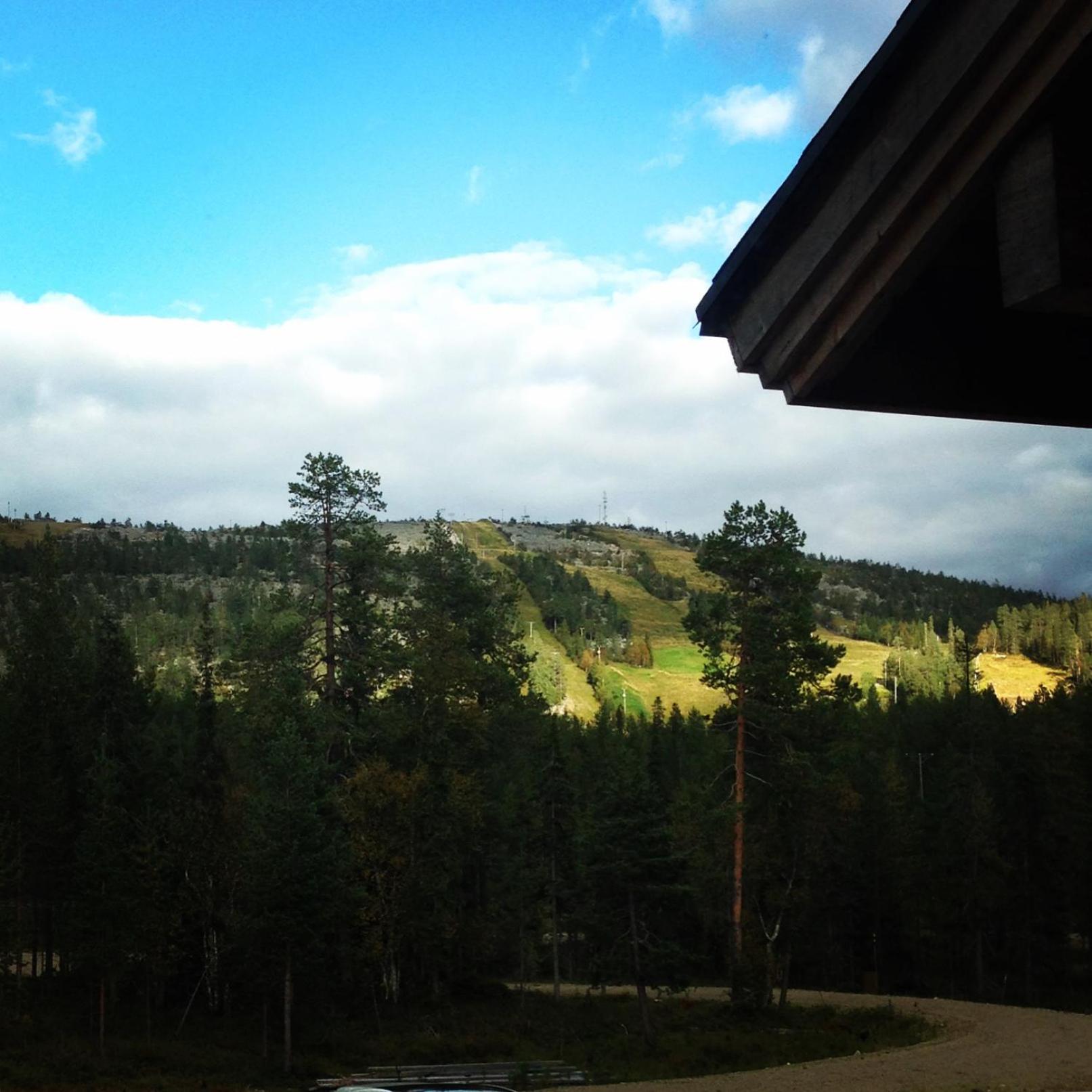 Photo 40