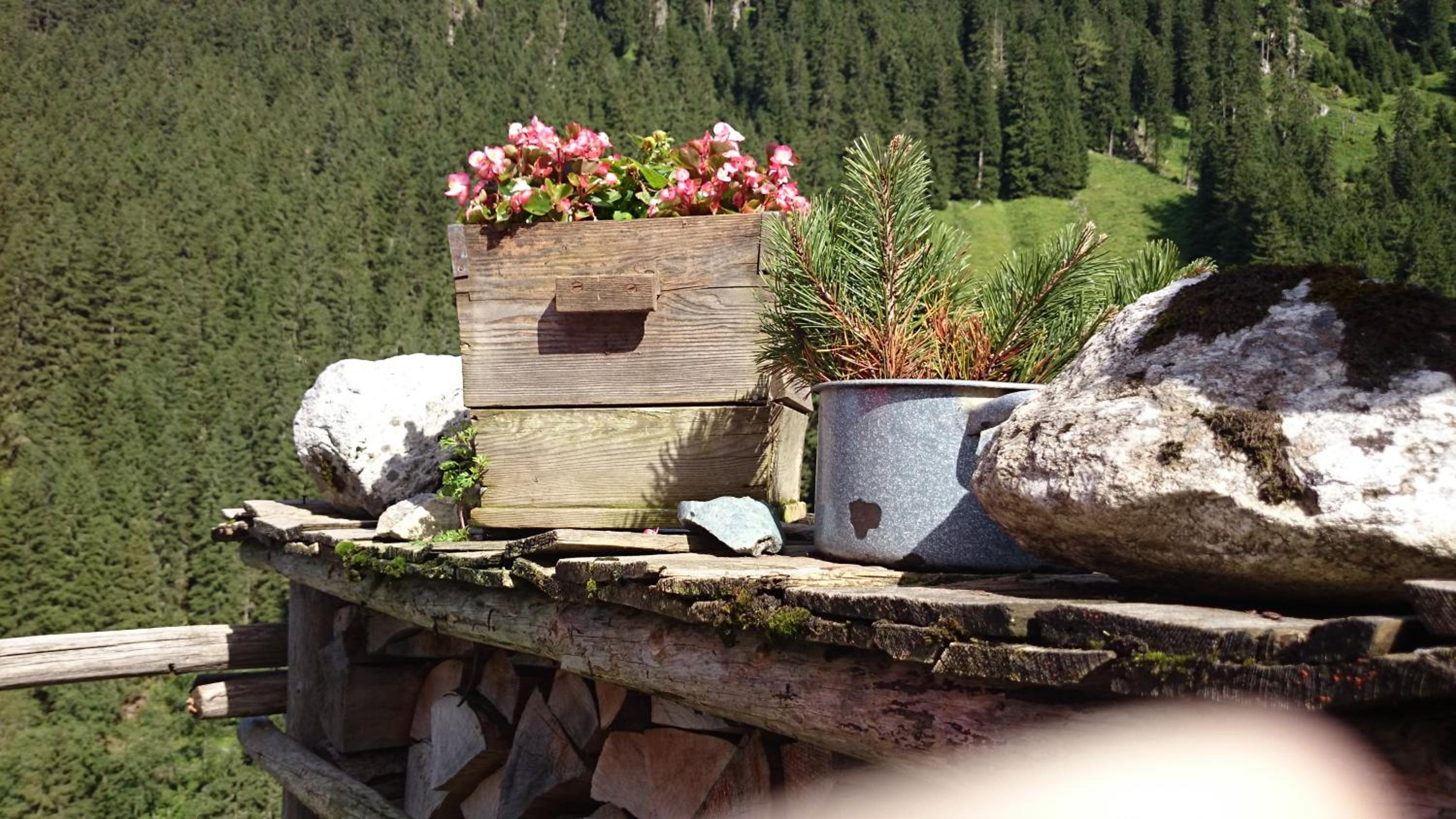 Hotel Eckartauerhof
