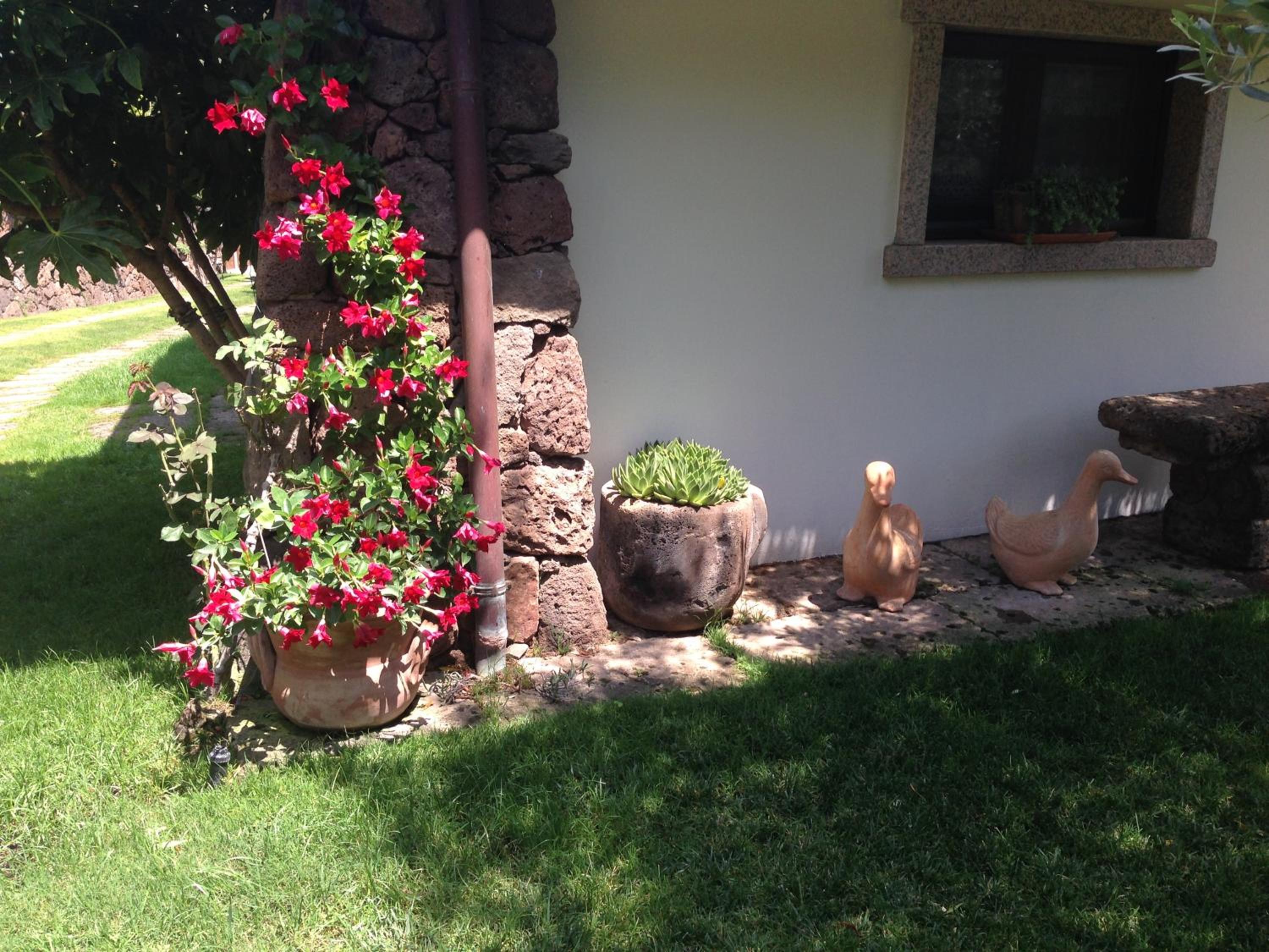 Photo 44