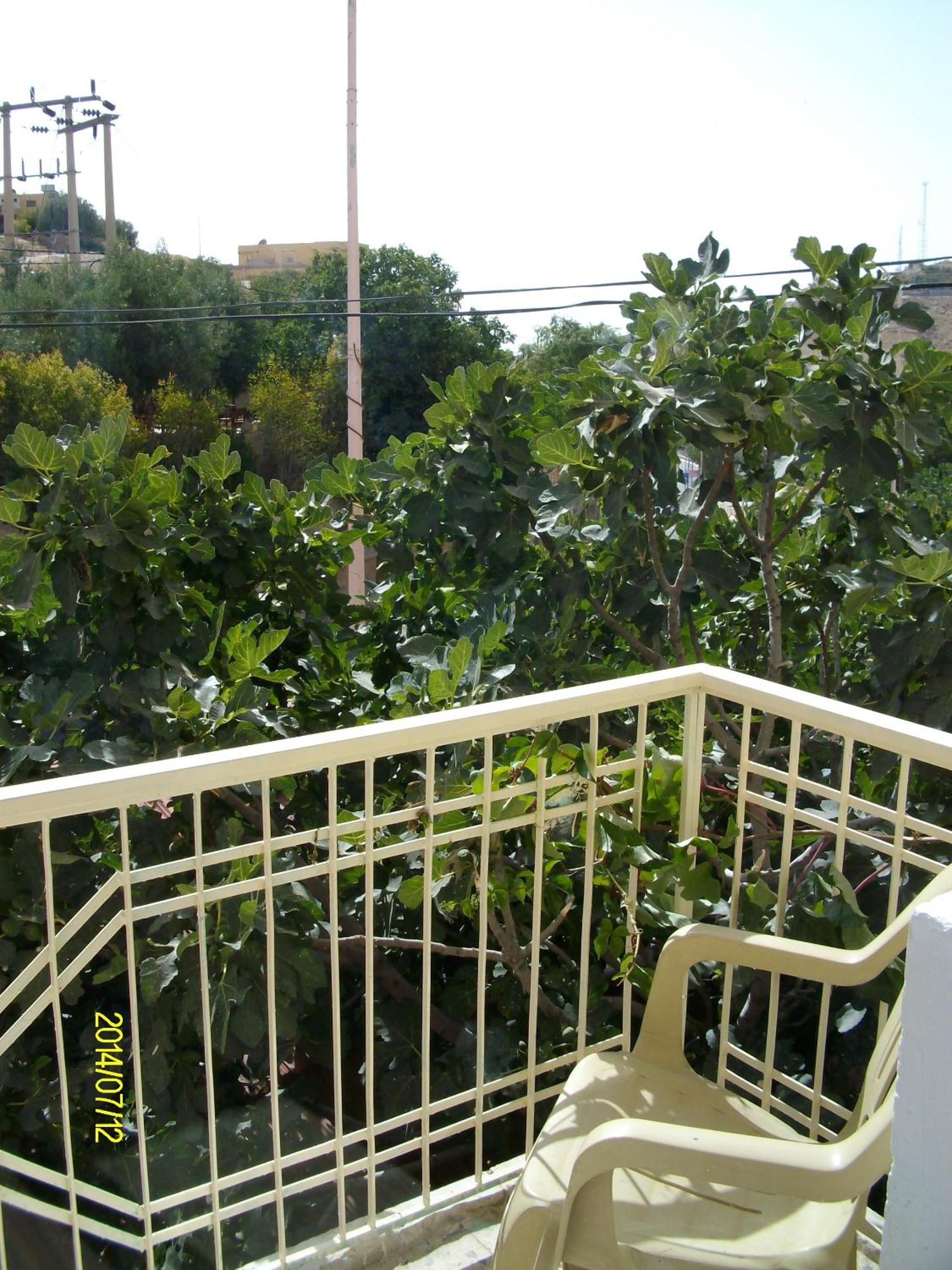 Photo 33
