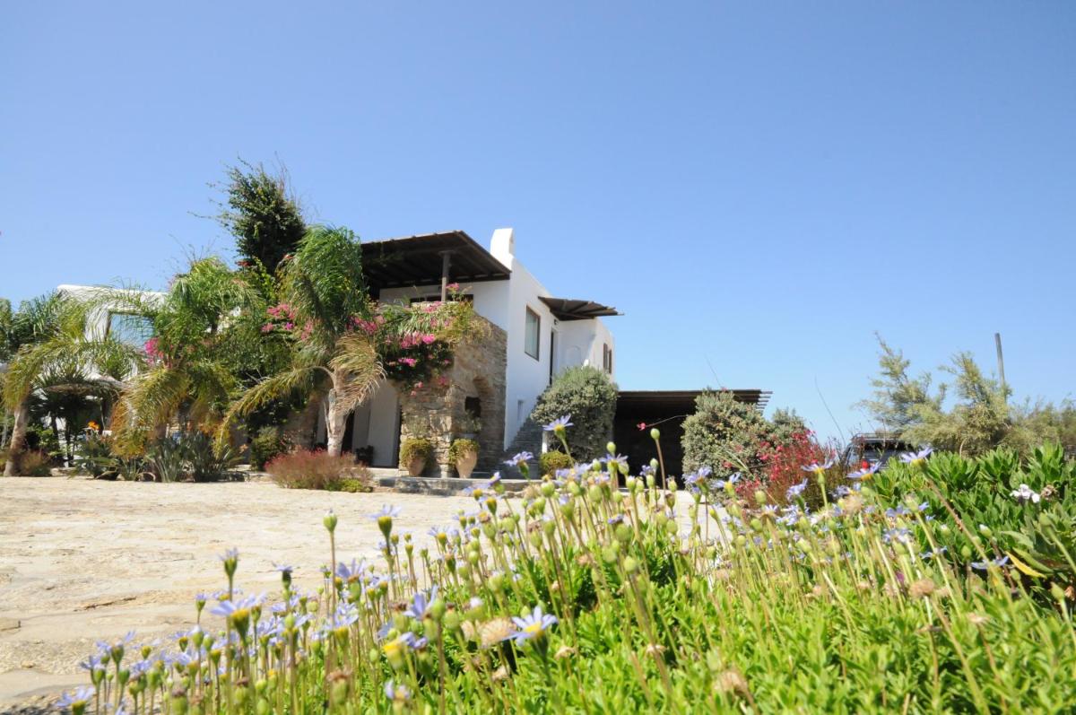 Photo 41