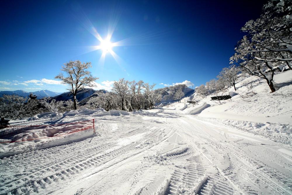 Yuzawa Ski House