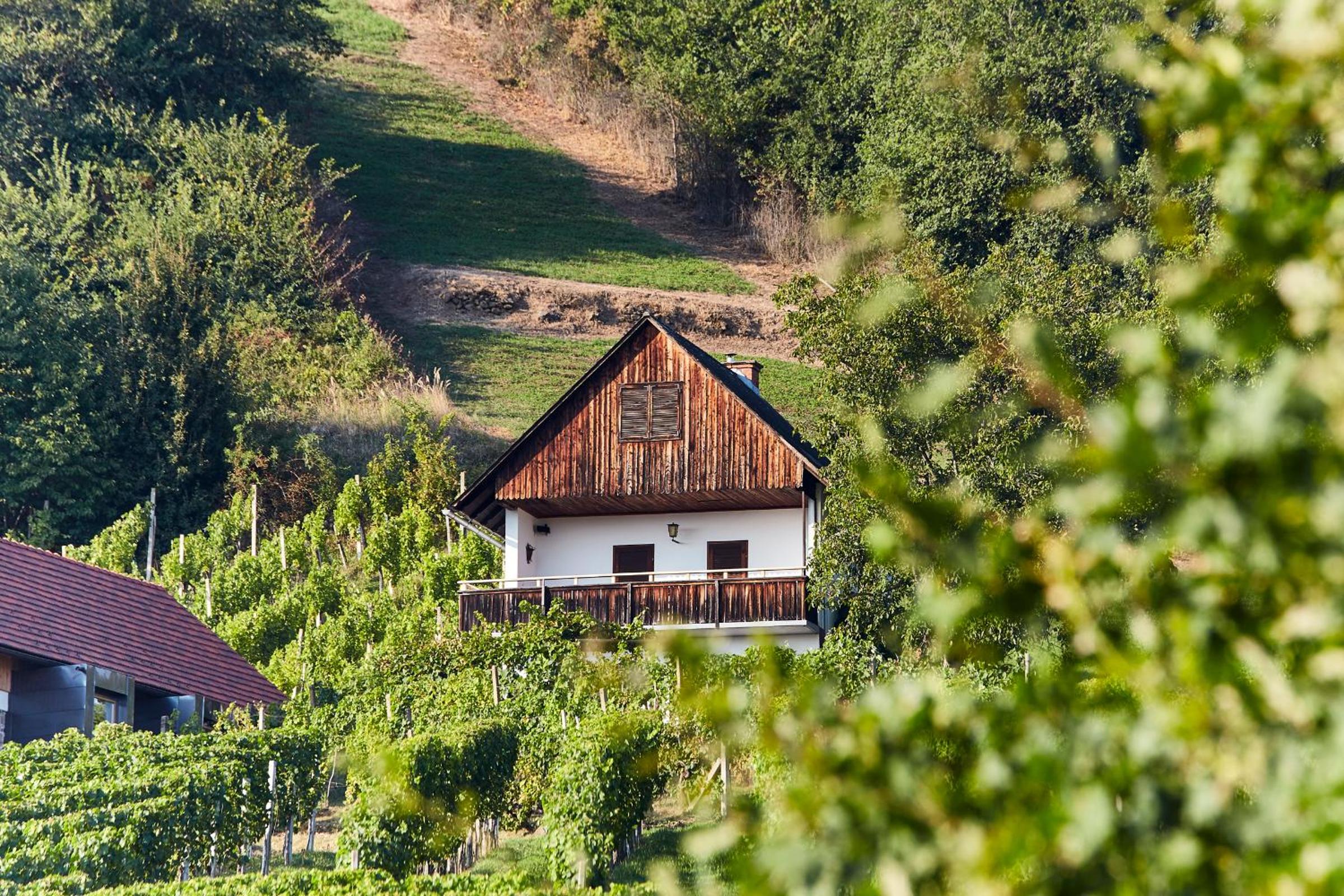 Weinberg Lodge - Kellerstöckl