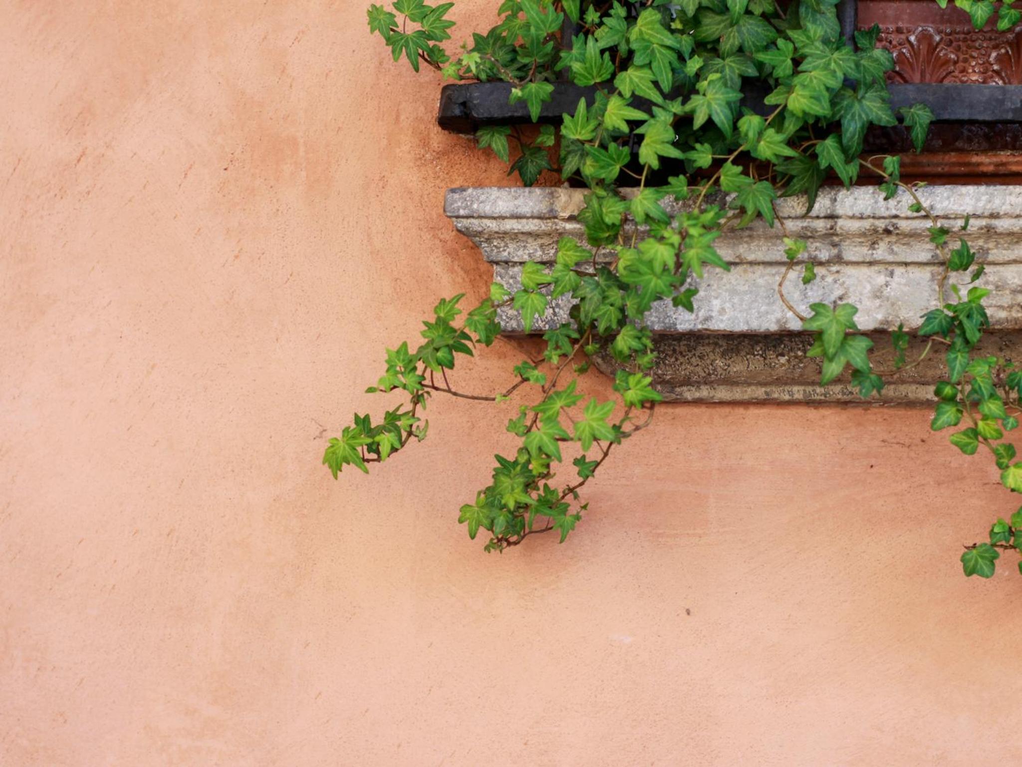 Casa Isolani Guest House Santo Stefano
