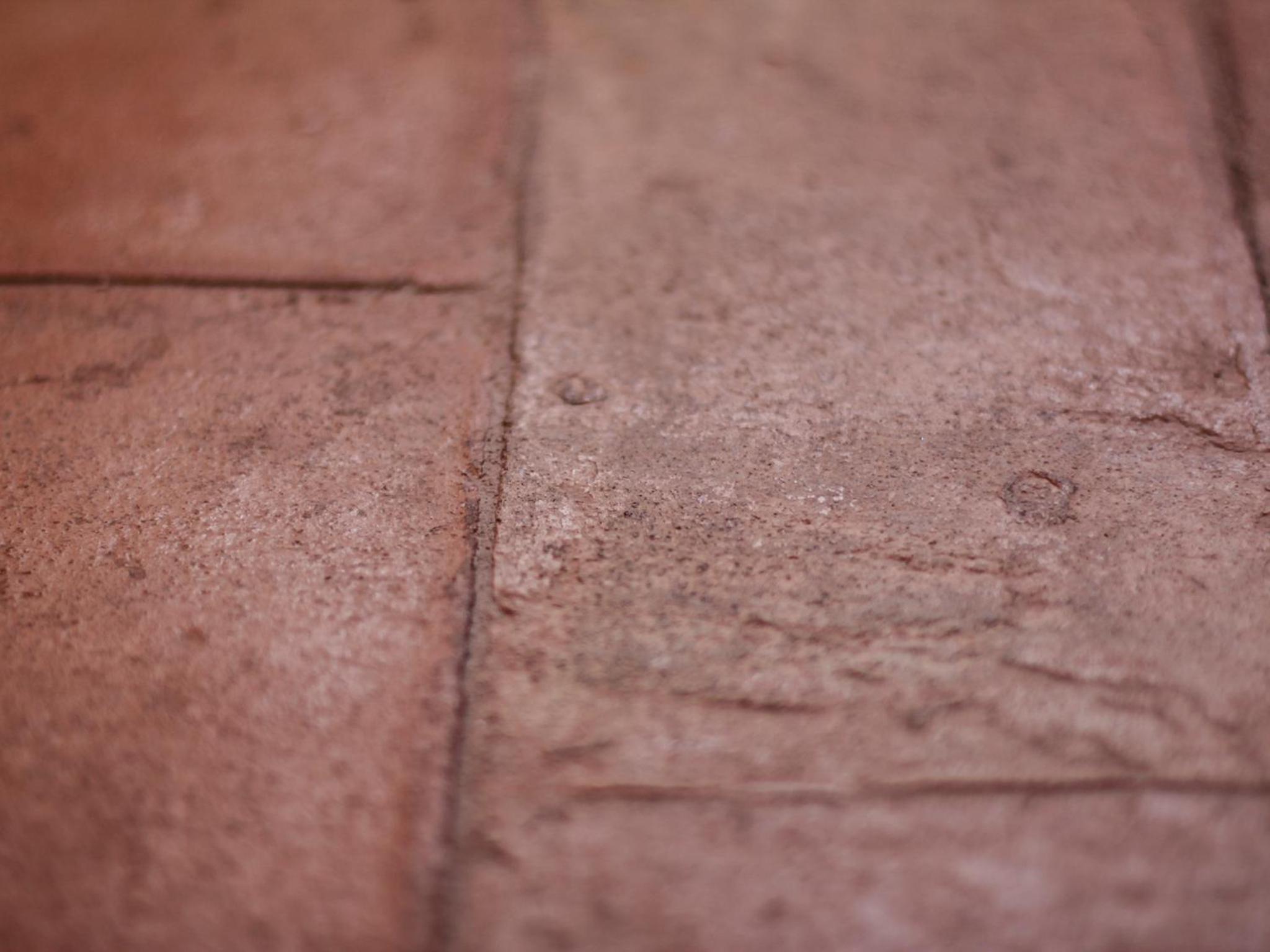 Casa Isolani Guest House Santo Stefano