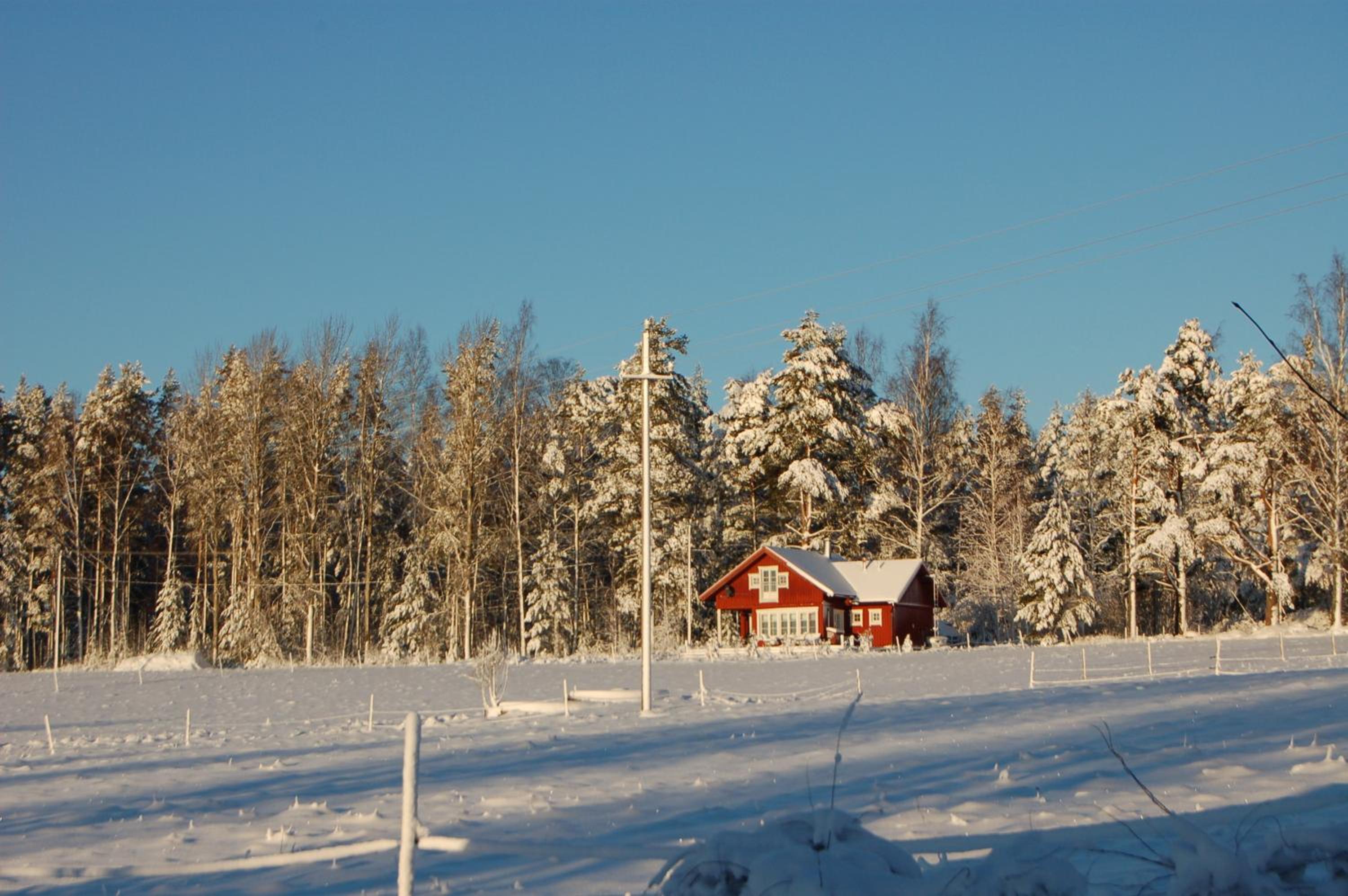 Photo 48