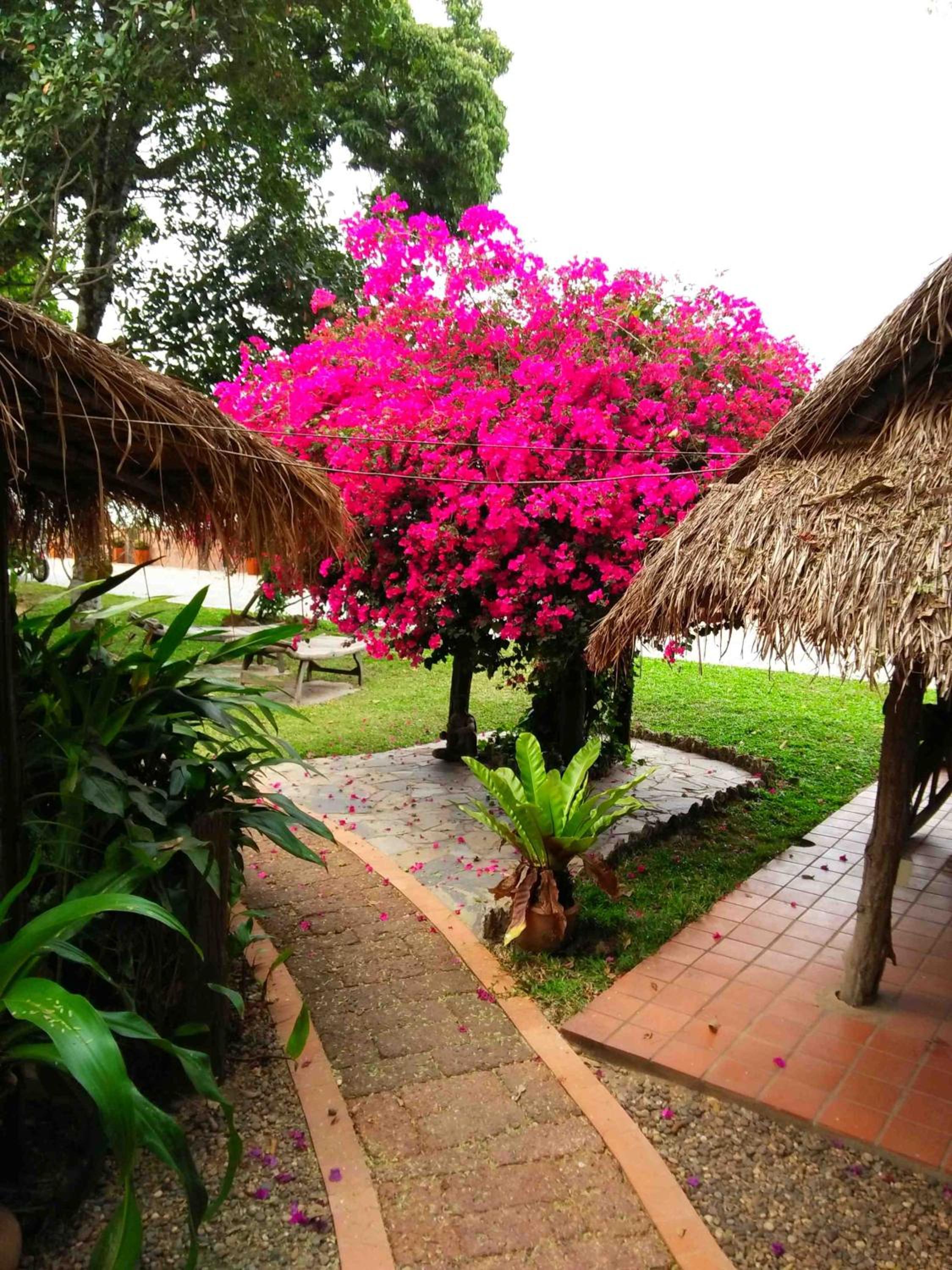 Mut Mee Garden Guest House