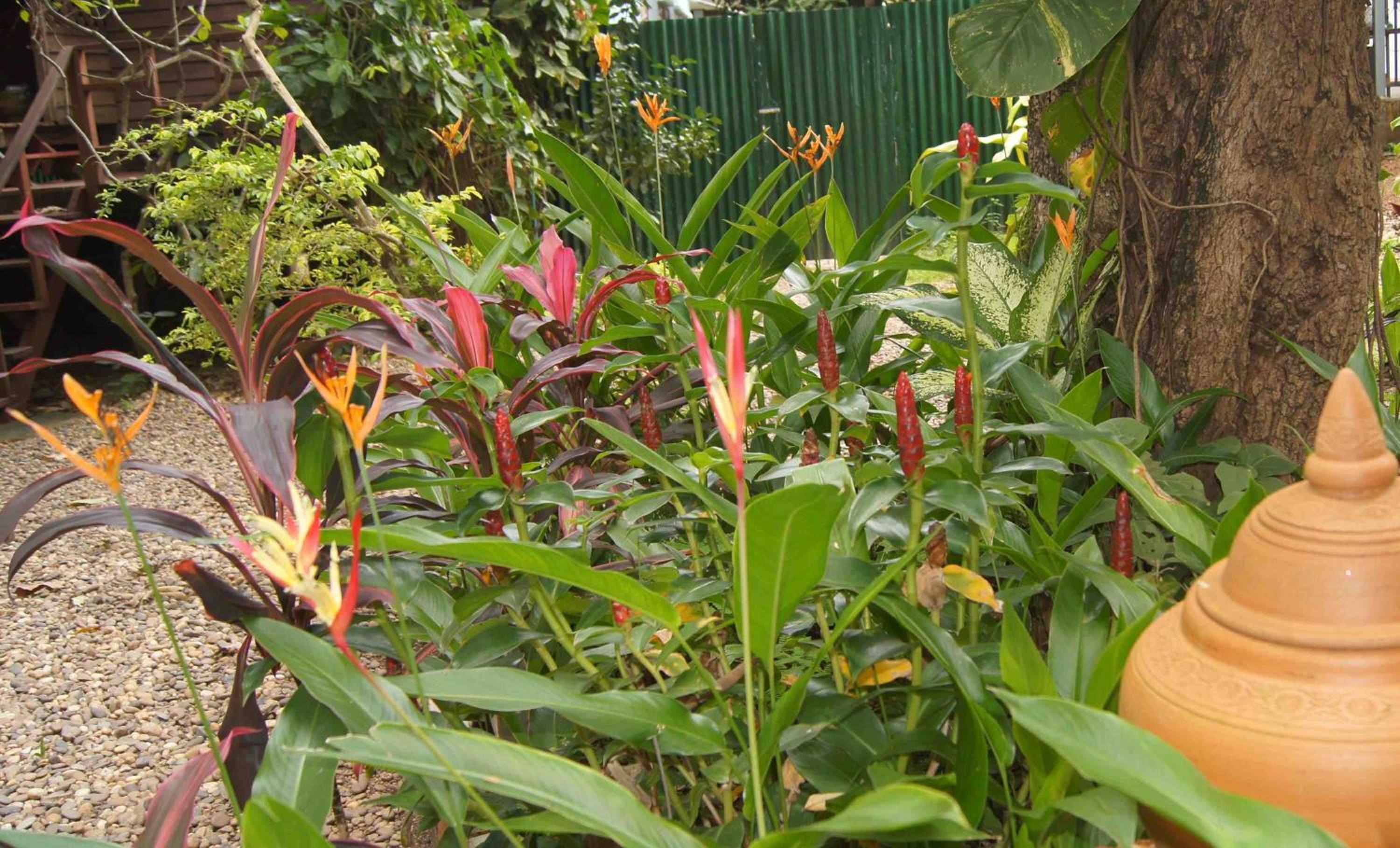 Mut Mee Garden Guest House