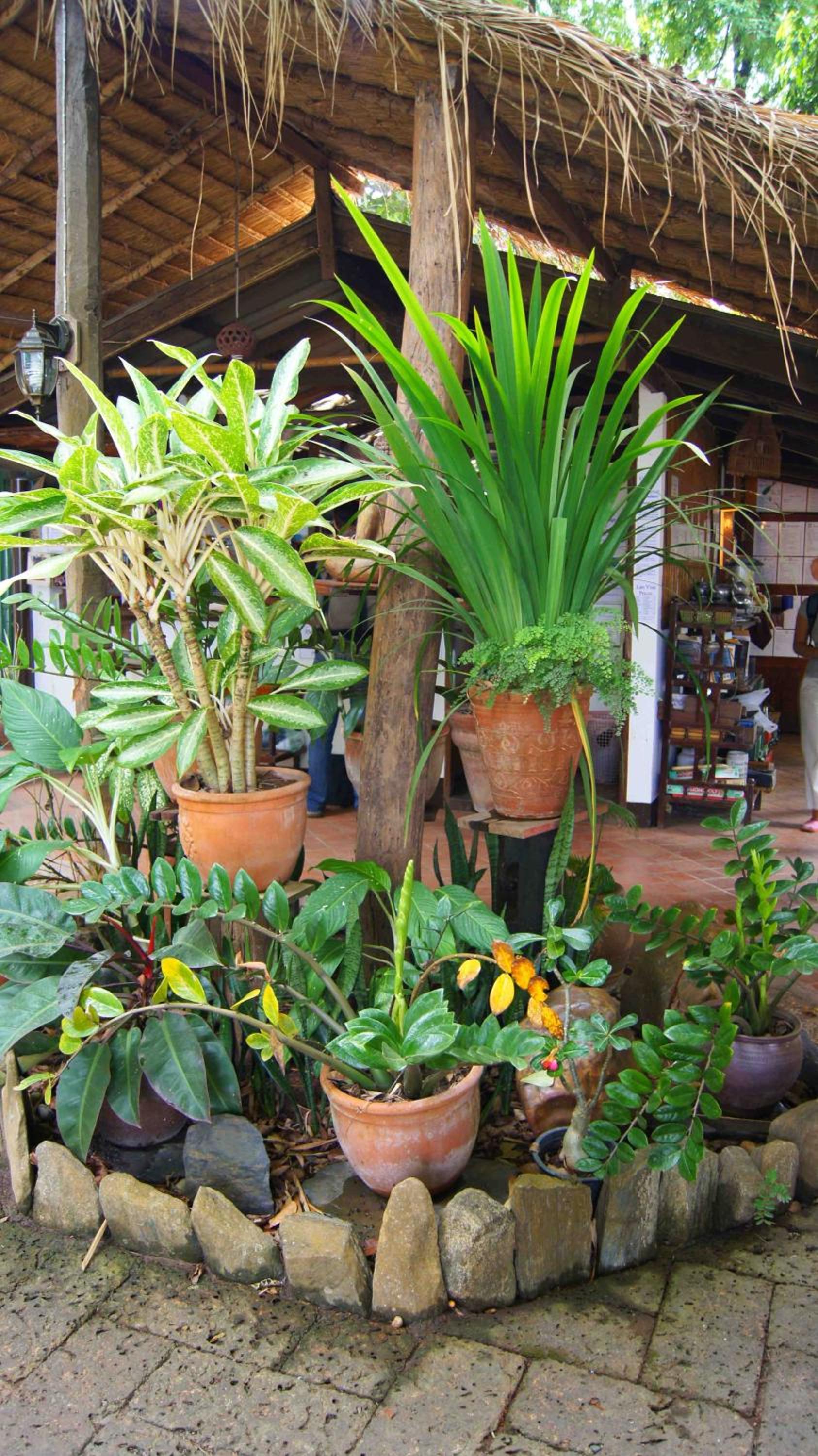 Mut Mee Garden Guest House