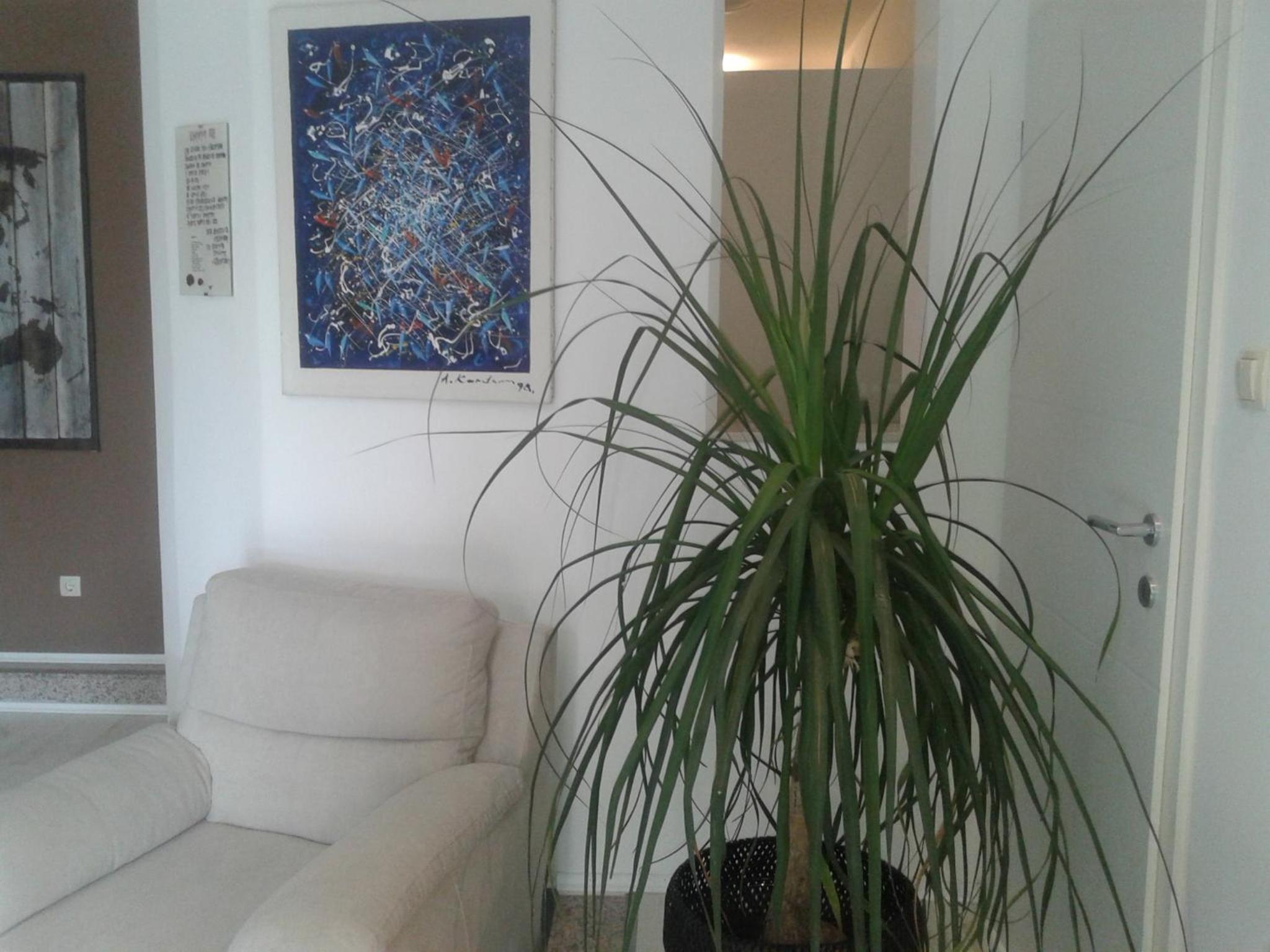 Apartment&Room Romano