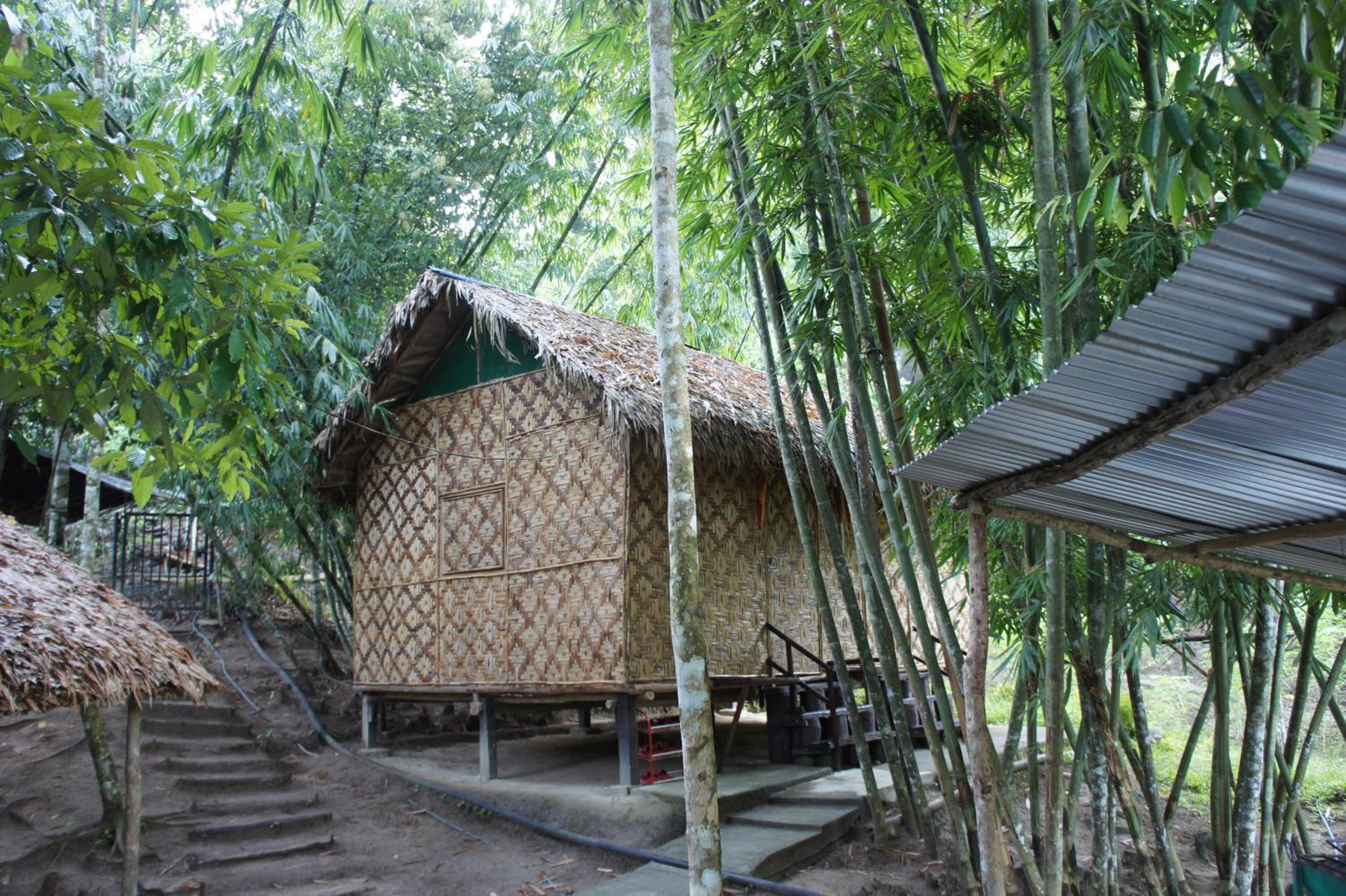 Rain Forest Inn