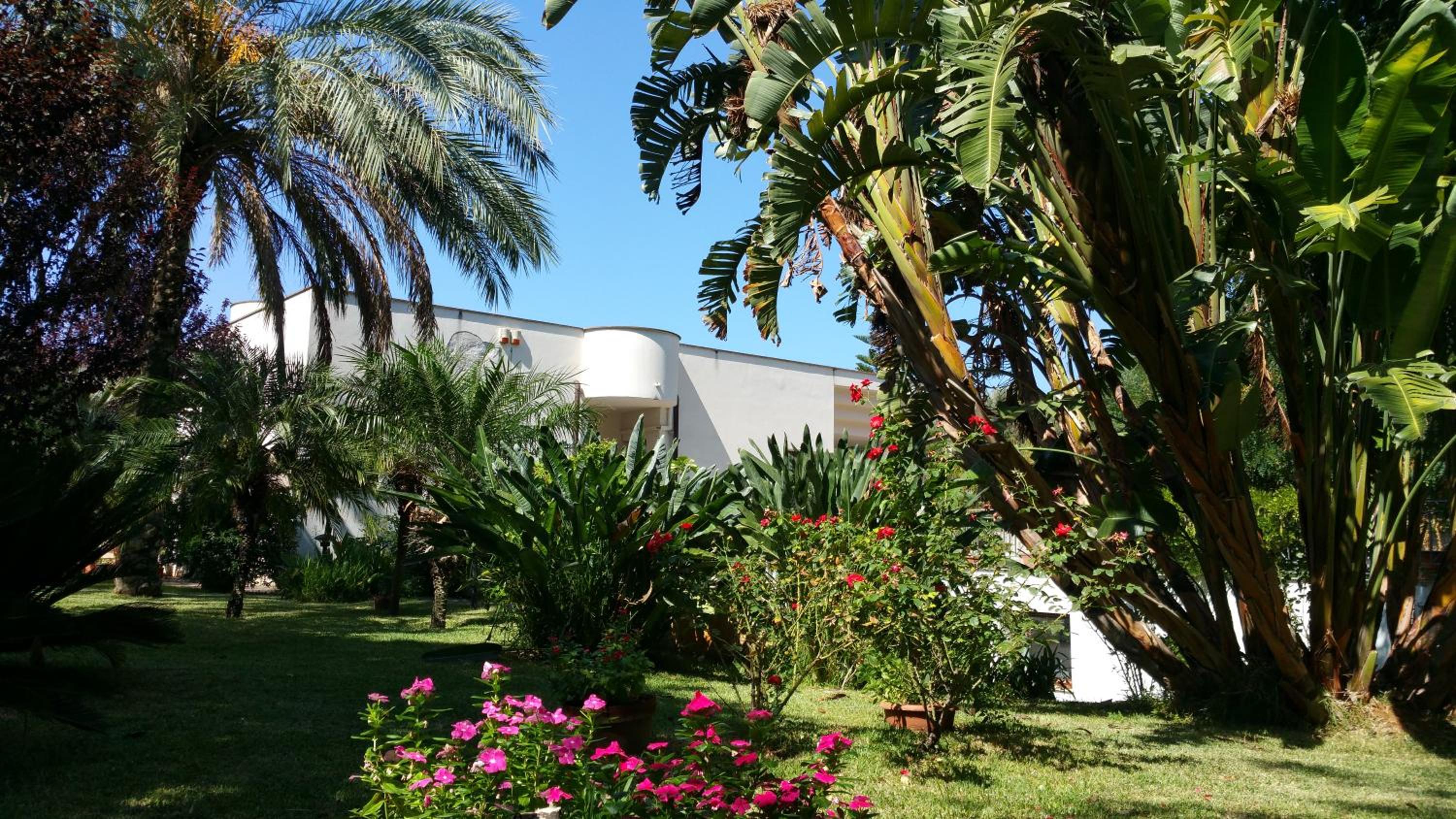 B & B Villa Flora view 4