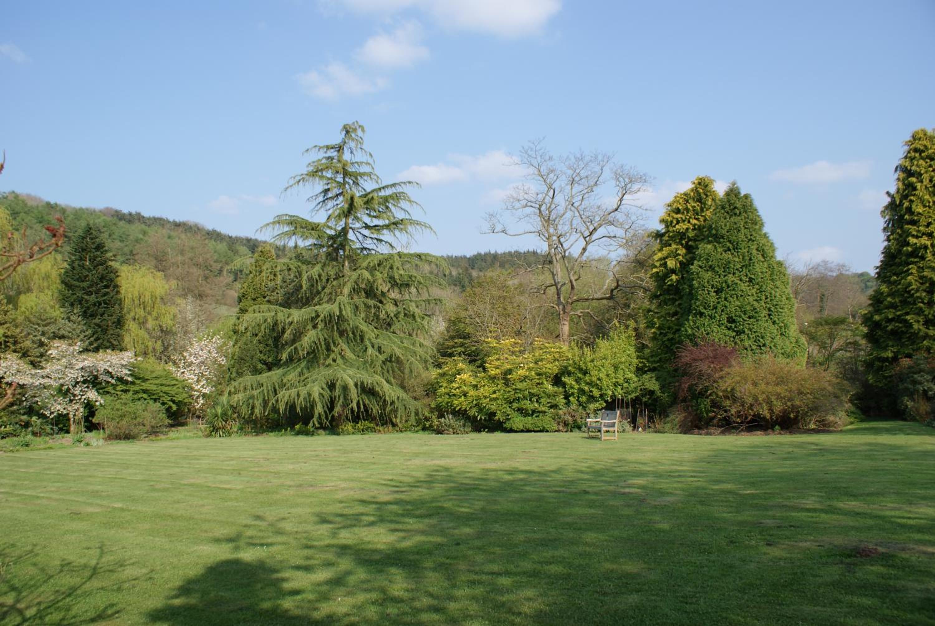 Photo 48