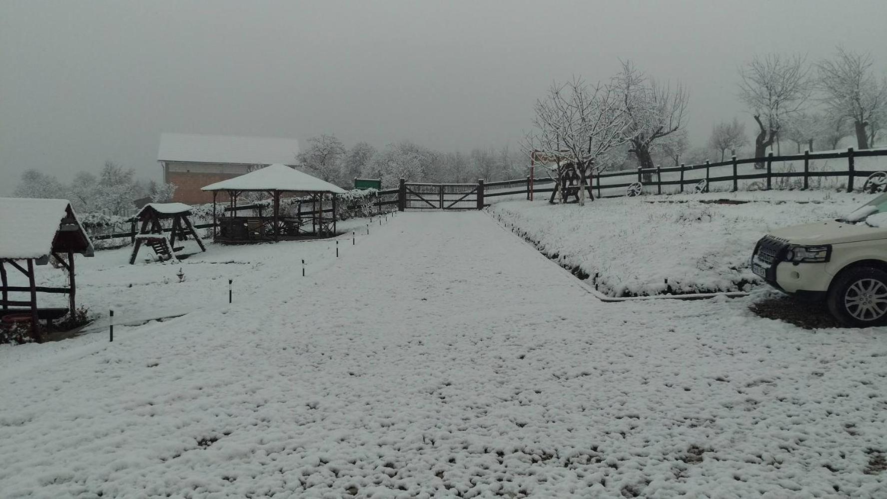 Photo 47
