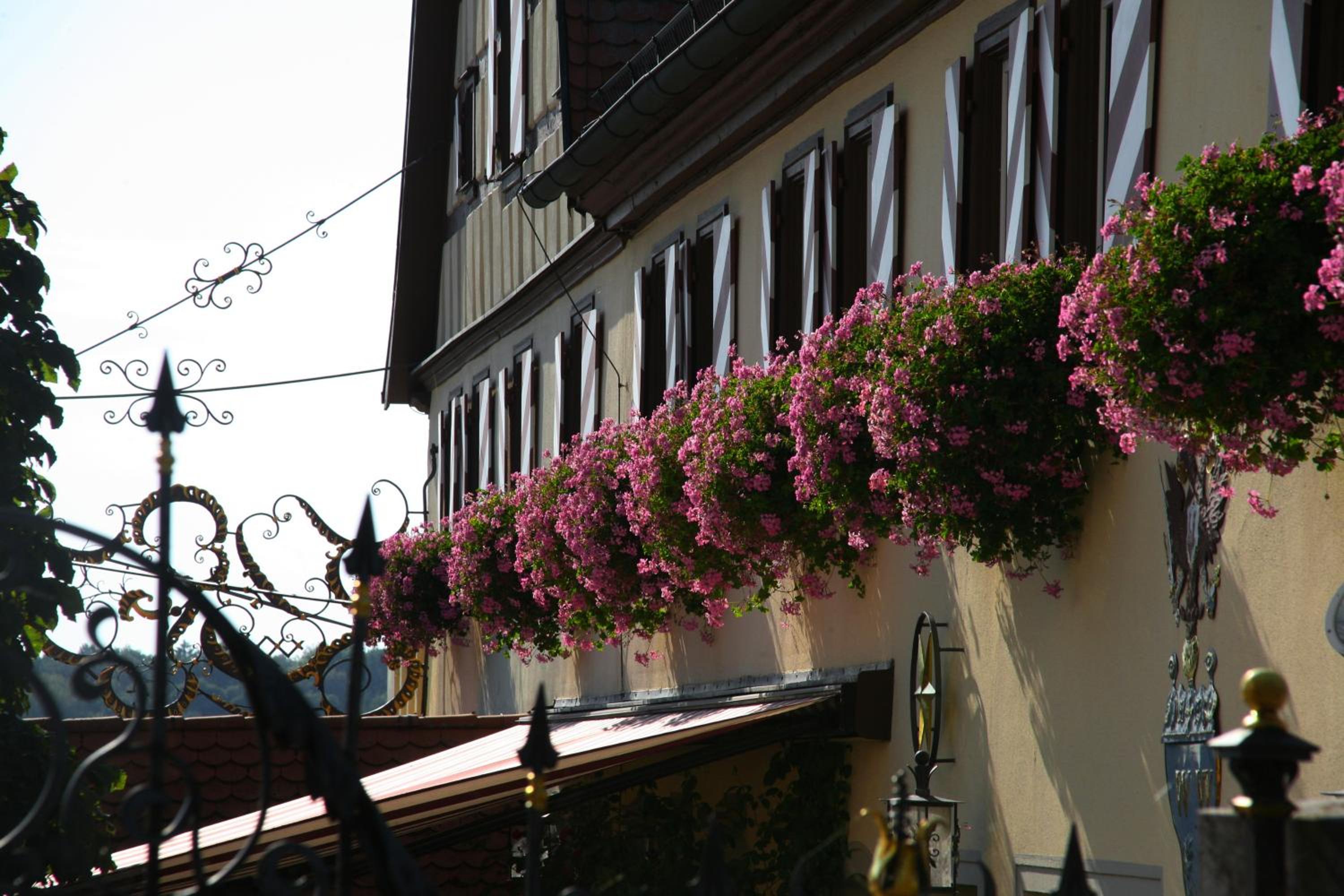 Hotel Brauereigasthof Landwehr-Brau - Property Image 11