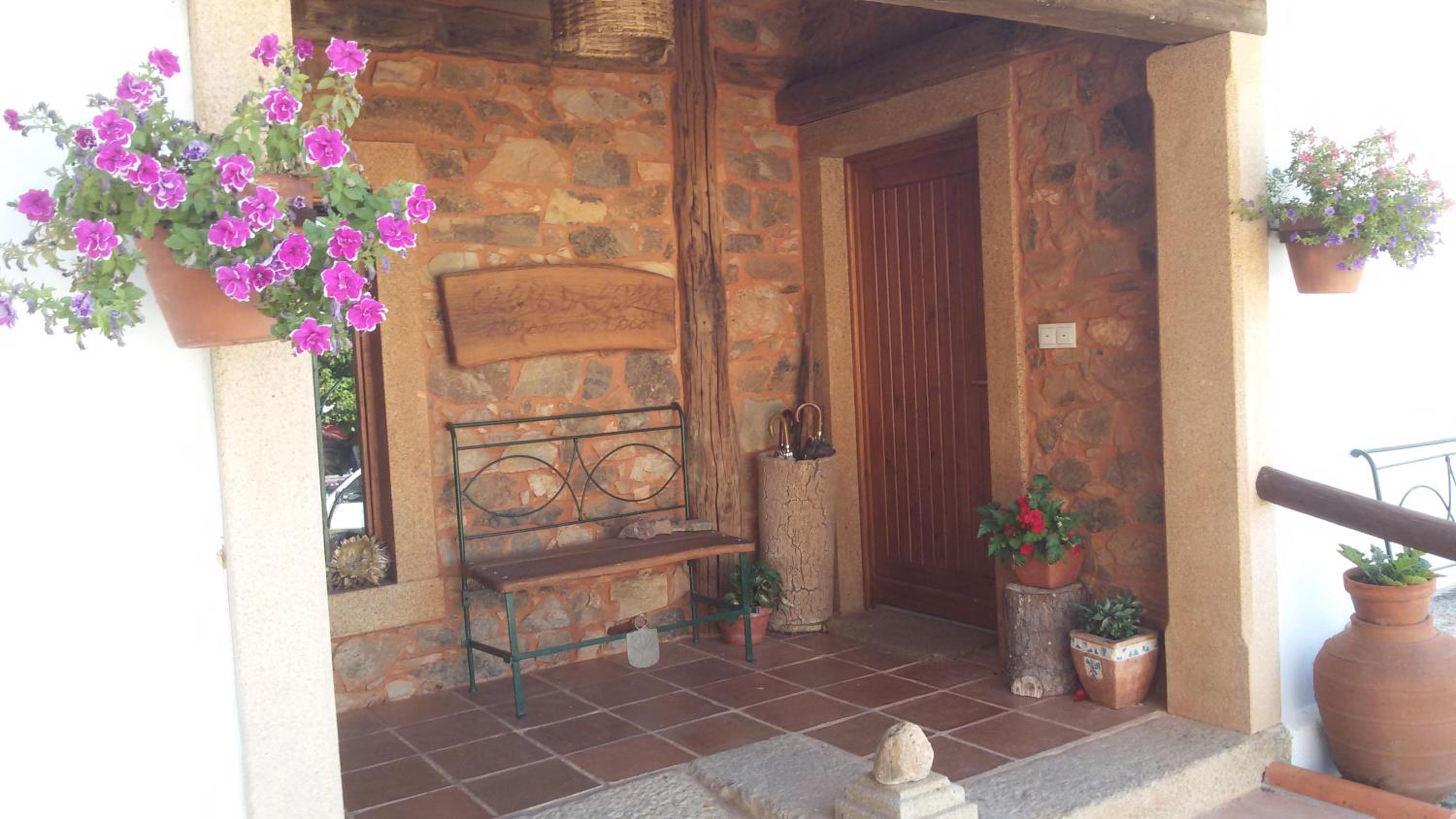 Photo 19