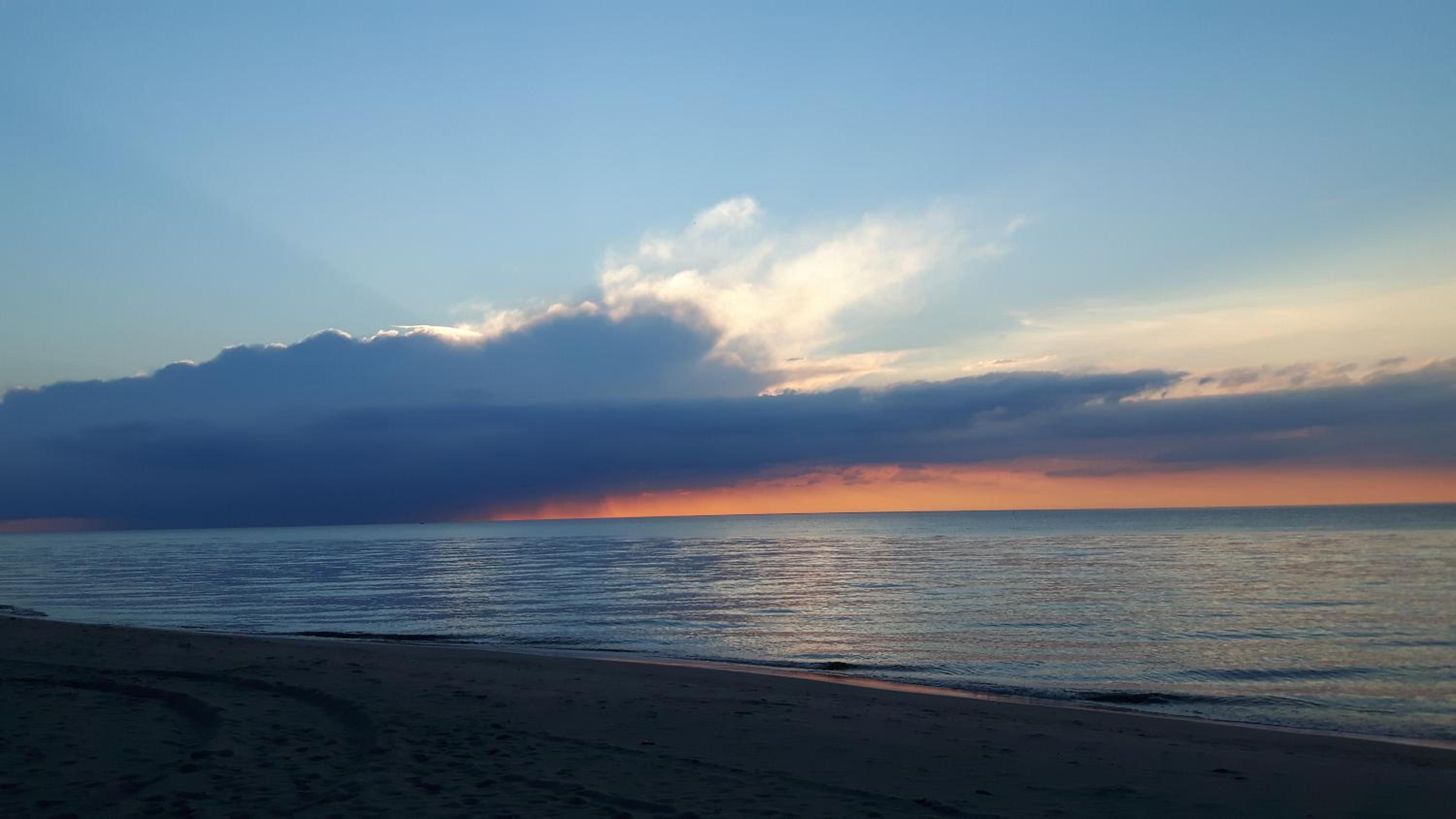 Photo 49