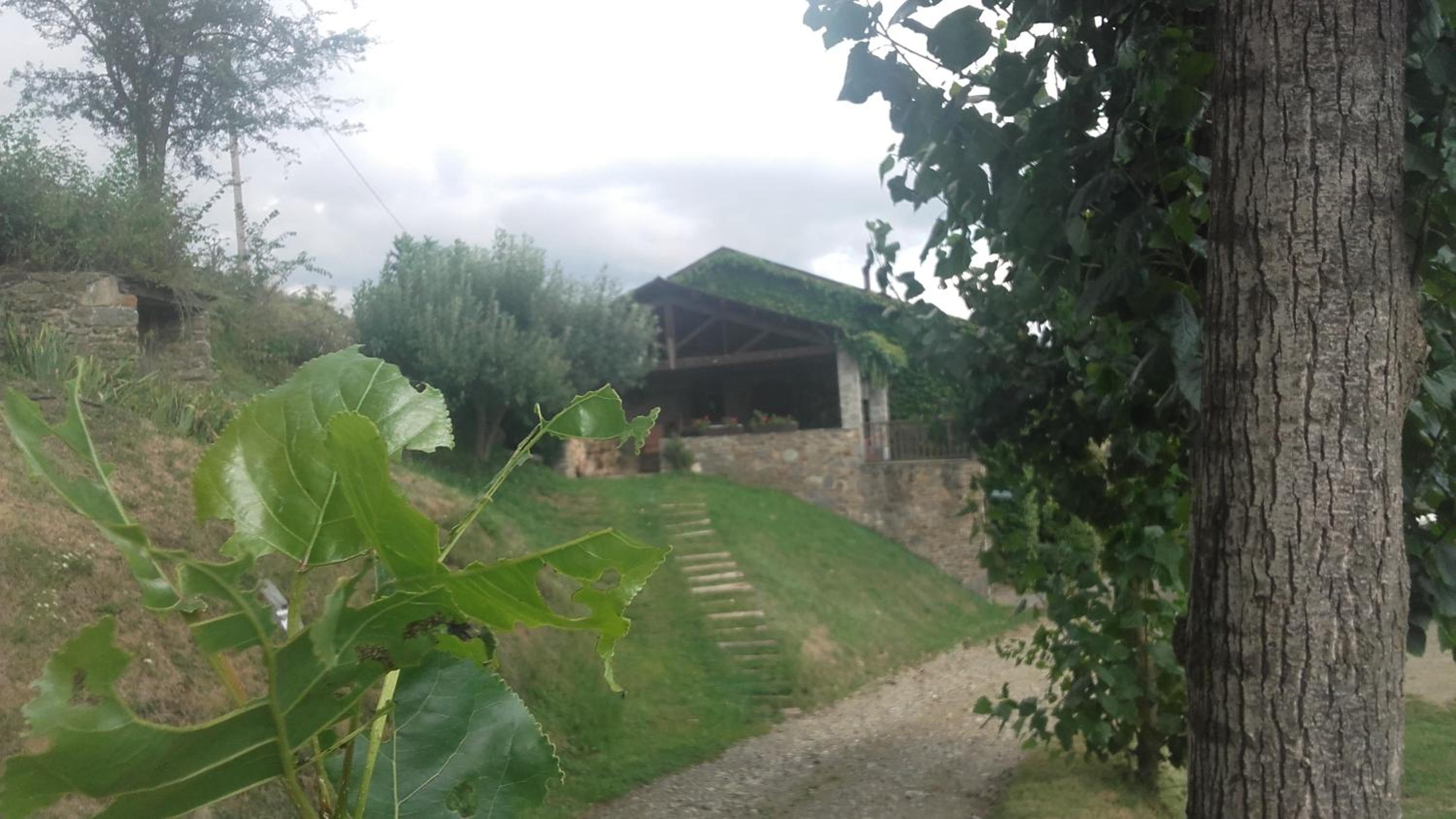 Photo 44