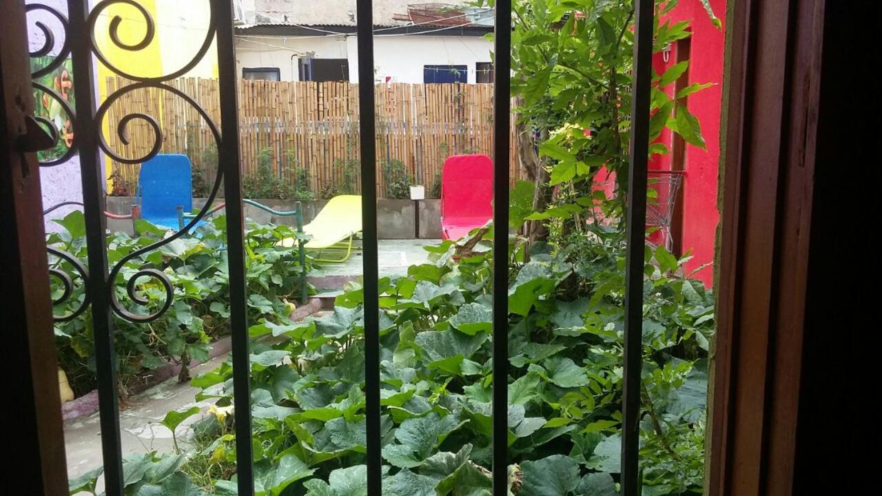 Photo 14