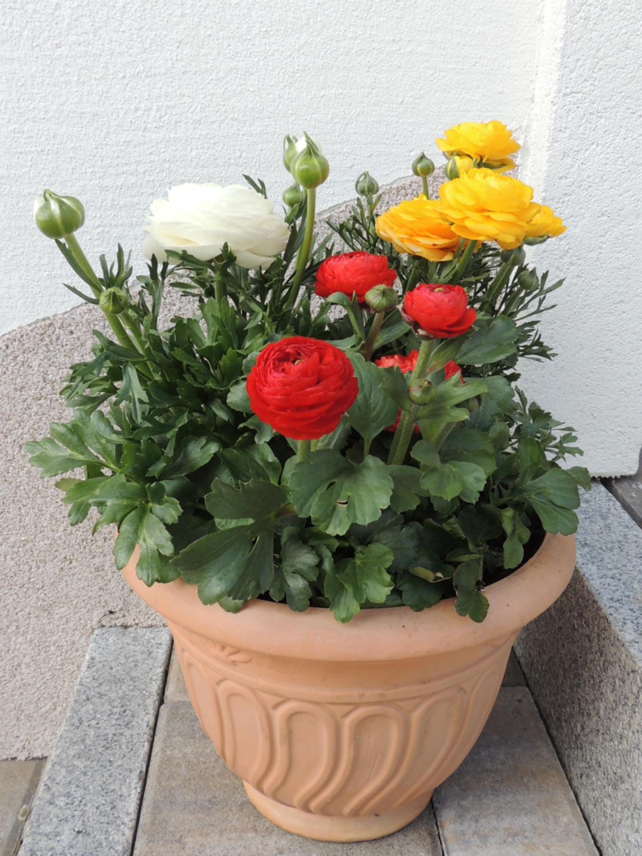 Photo 42