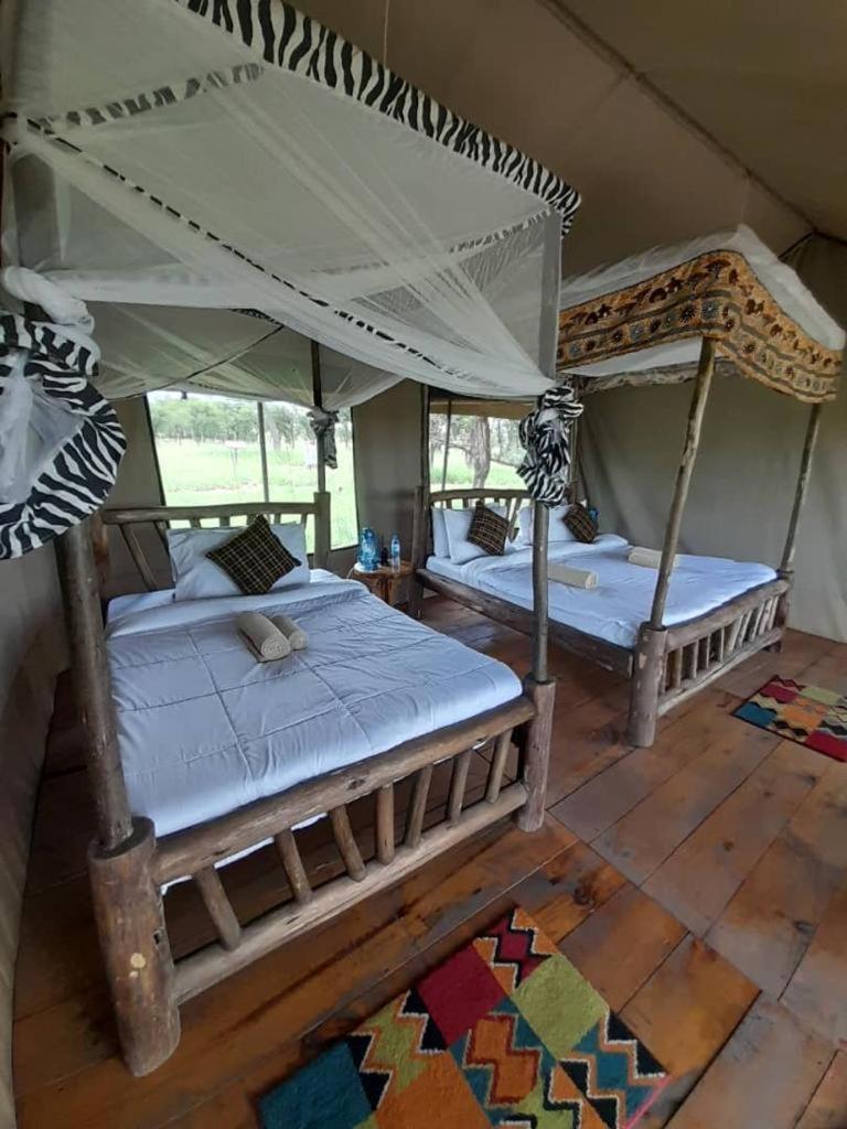 Maisha Serengeti Camps