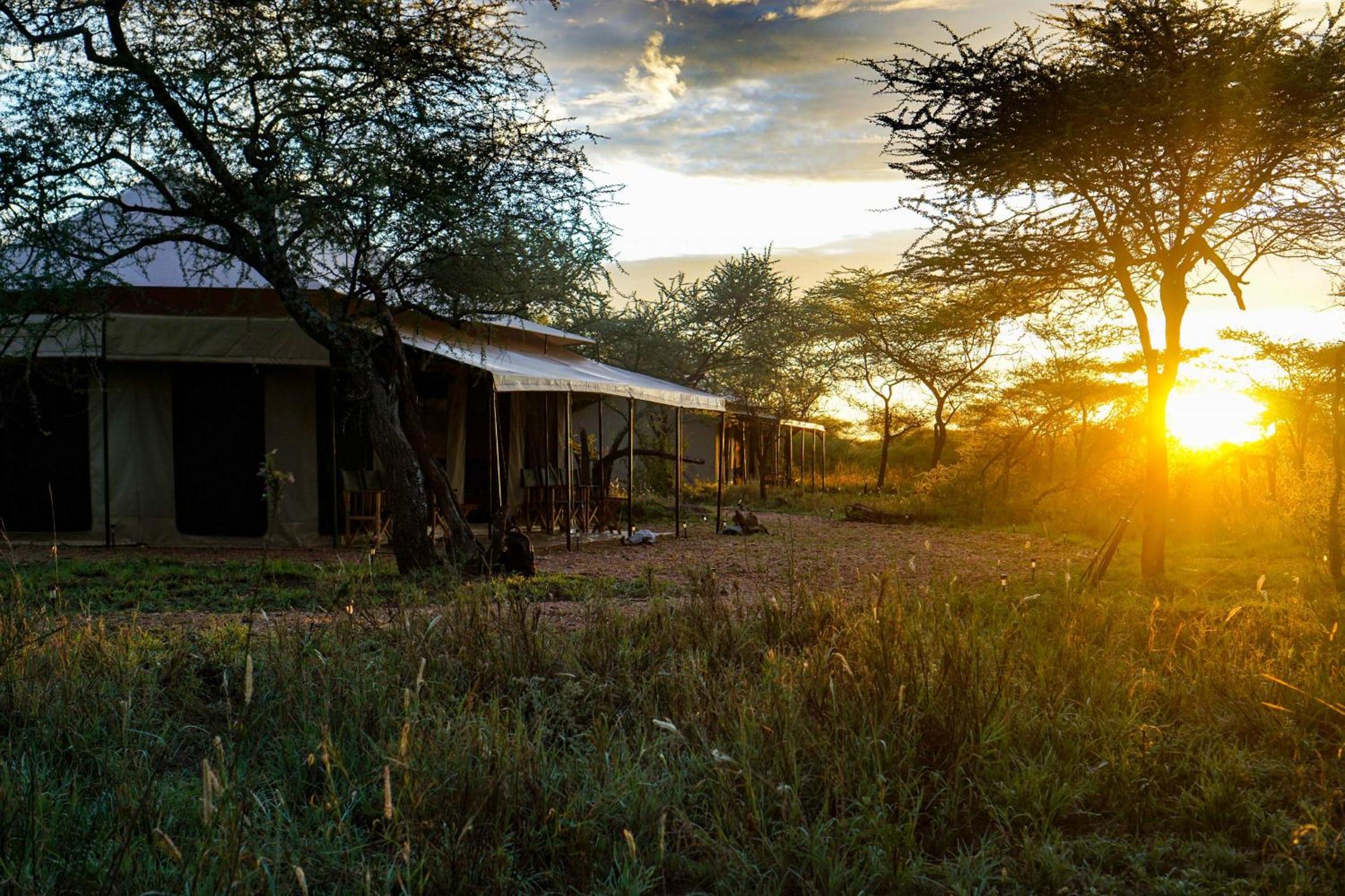 Maisha Serengeti Camps