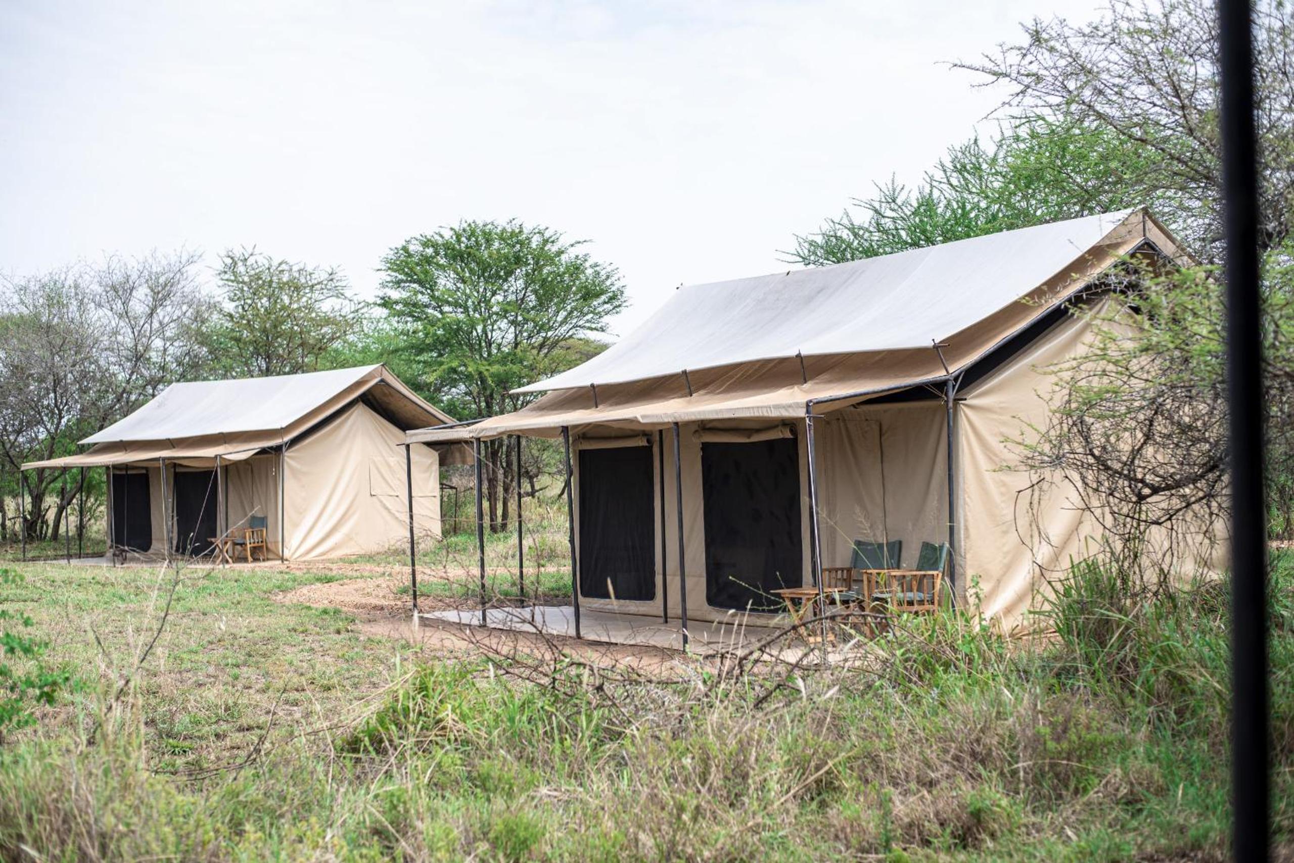 Maisha Serengeti Camps