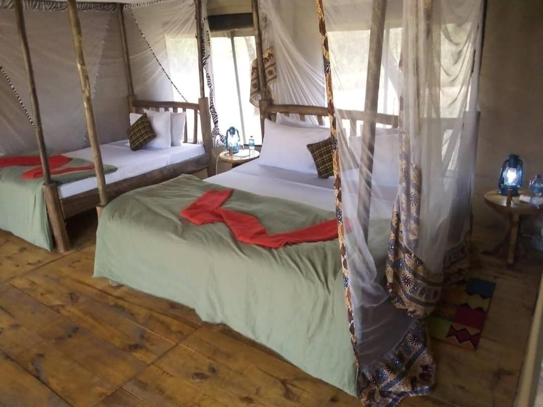 Maisha Serengeti Camps