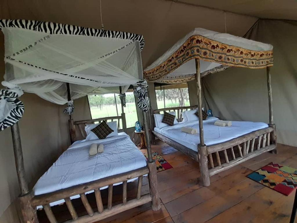 Maisha Serengeti Camps