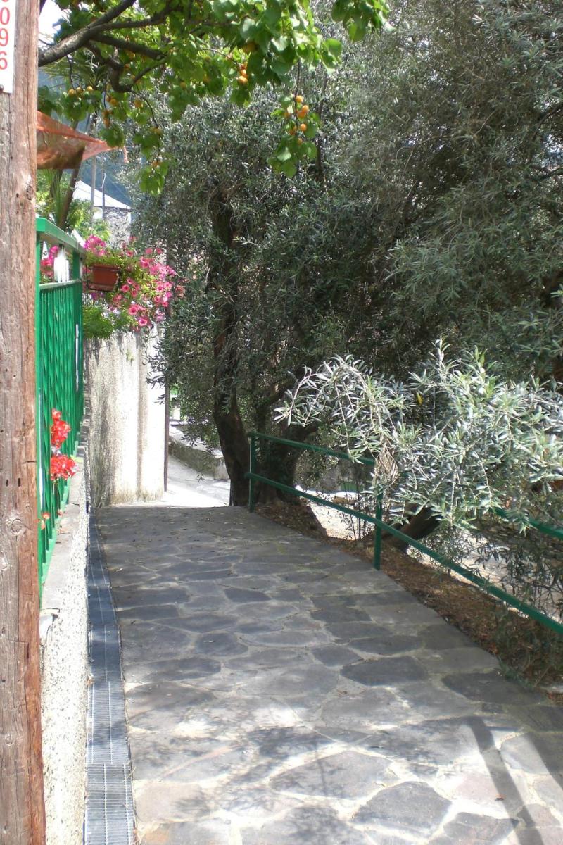 Photo 24
