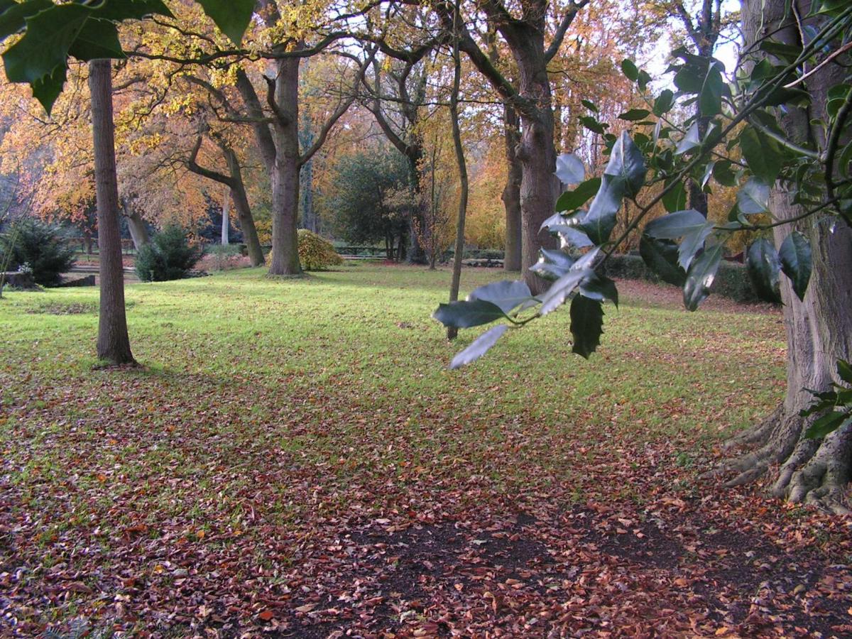 Photo 22