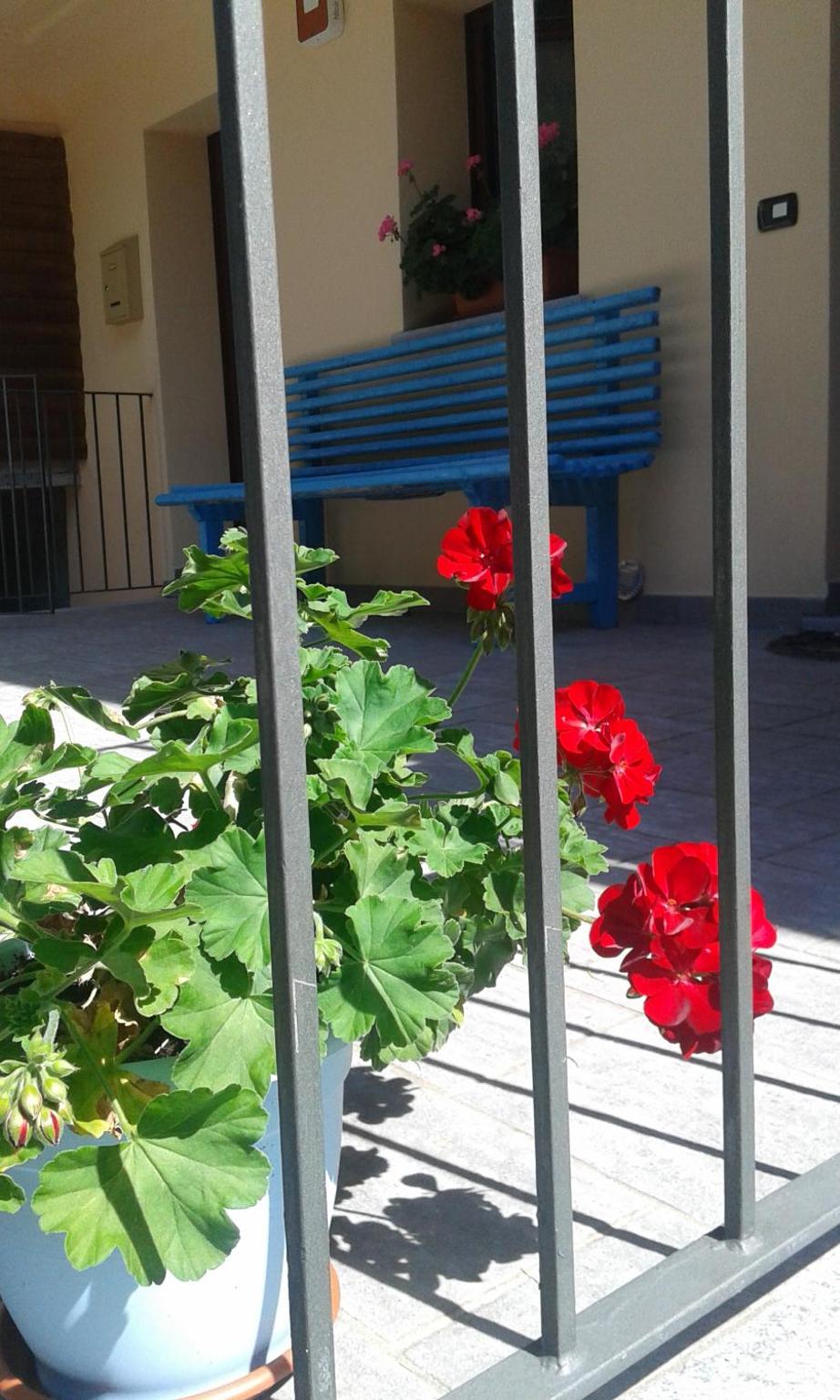 Photo 33