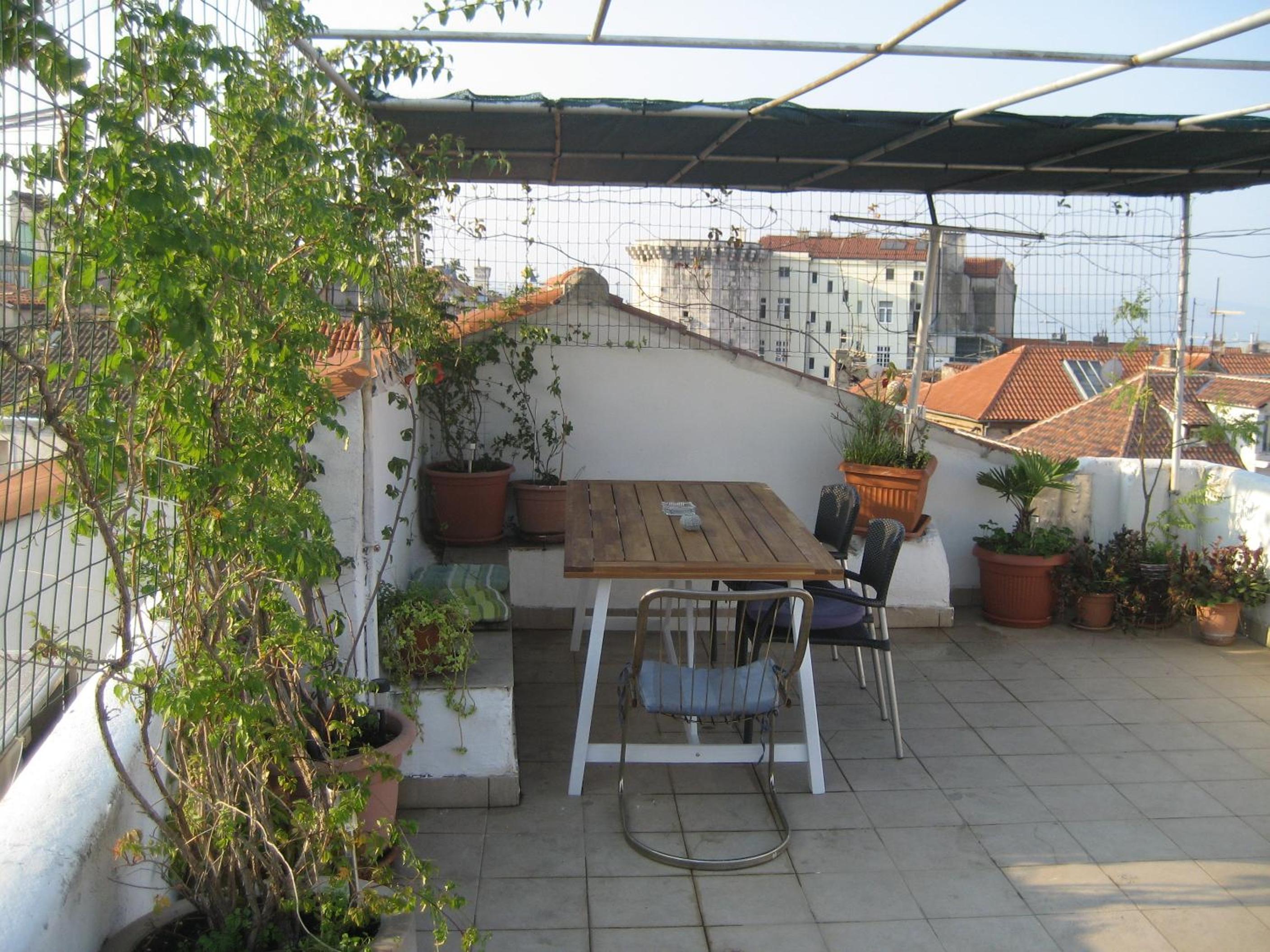 Photo 42