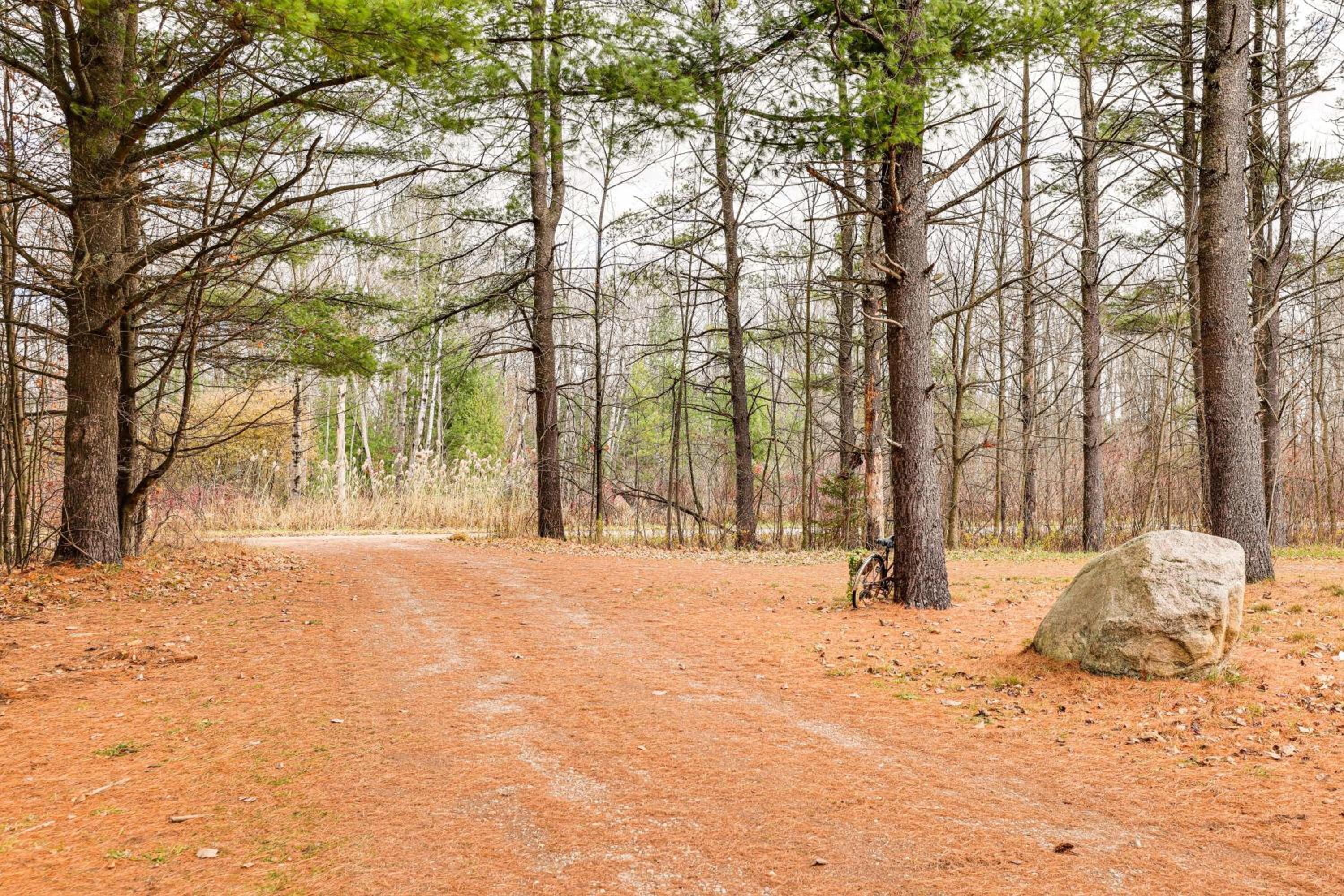Spacious Log Home with 13 Acres, Ponds and Fire Pit!