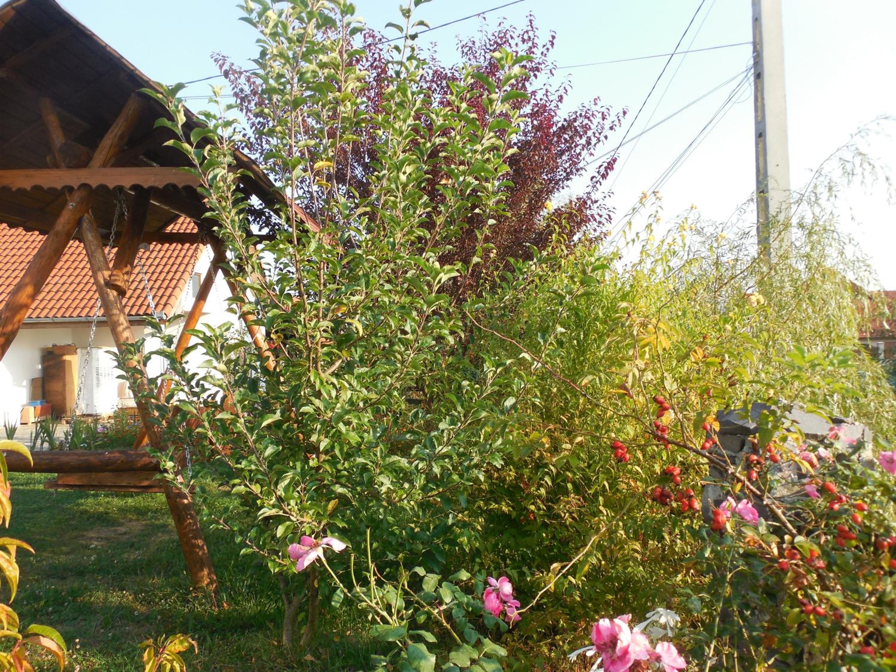 Photo 18