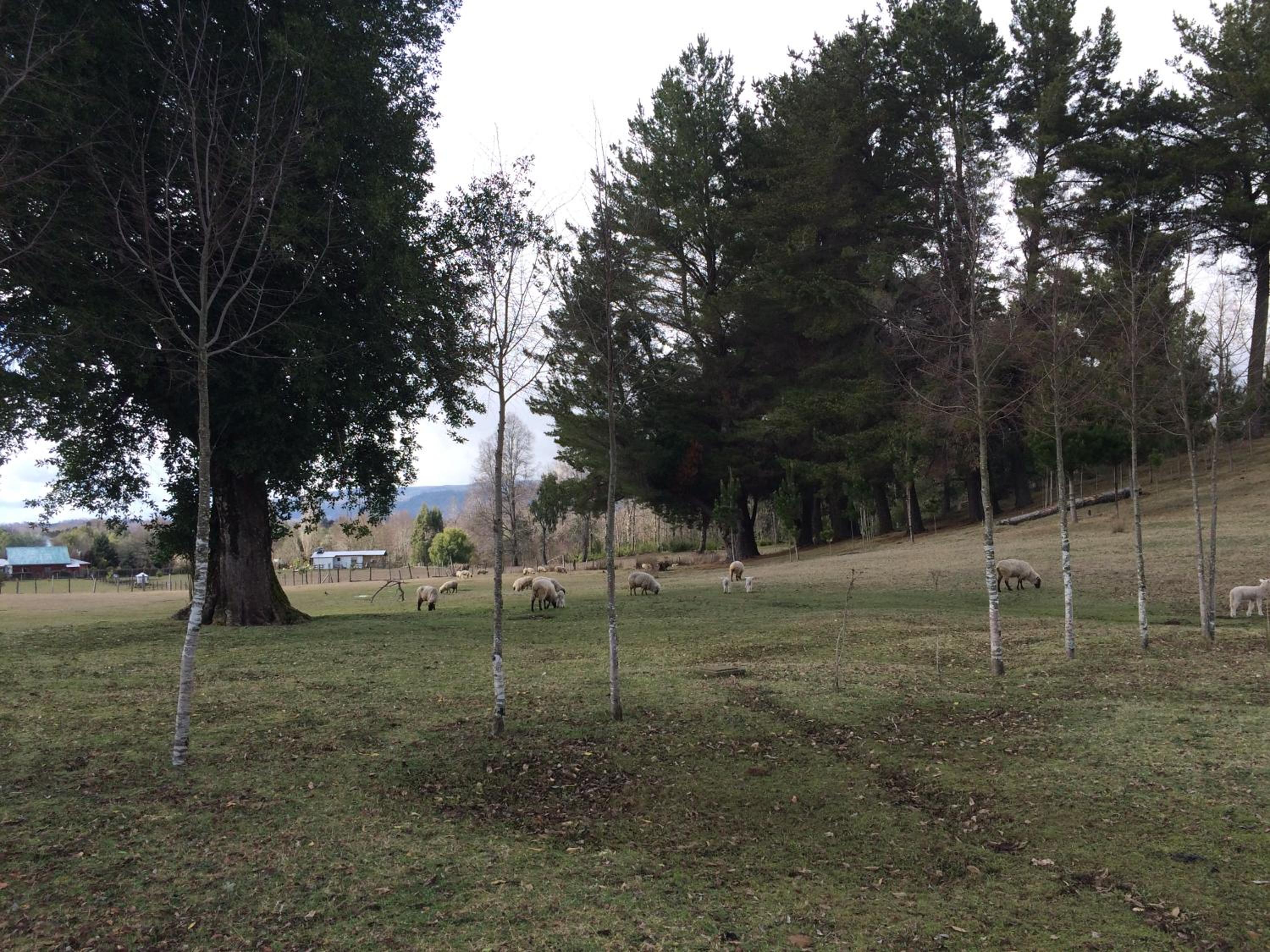 Rancho Saeta