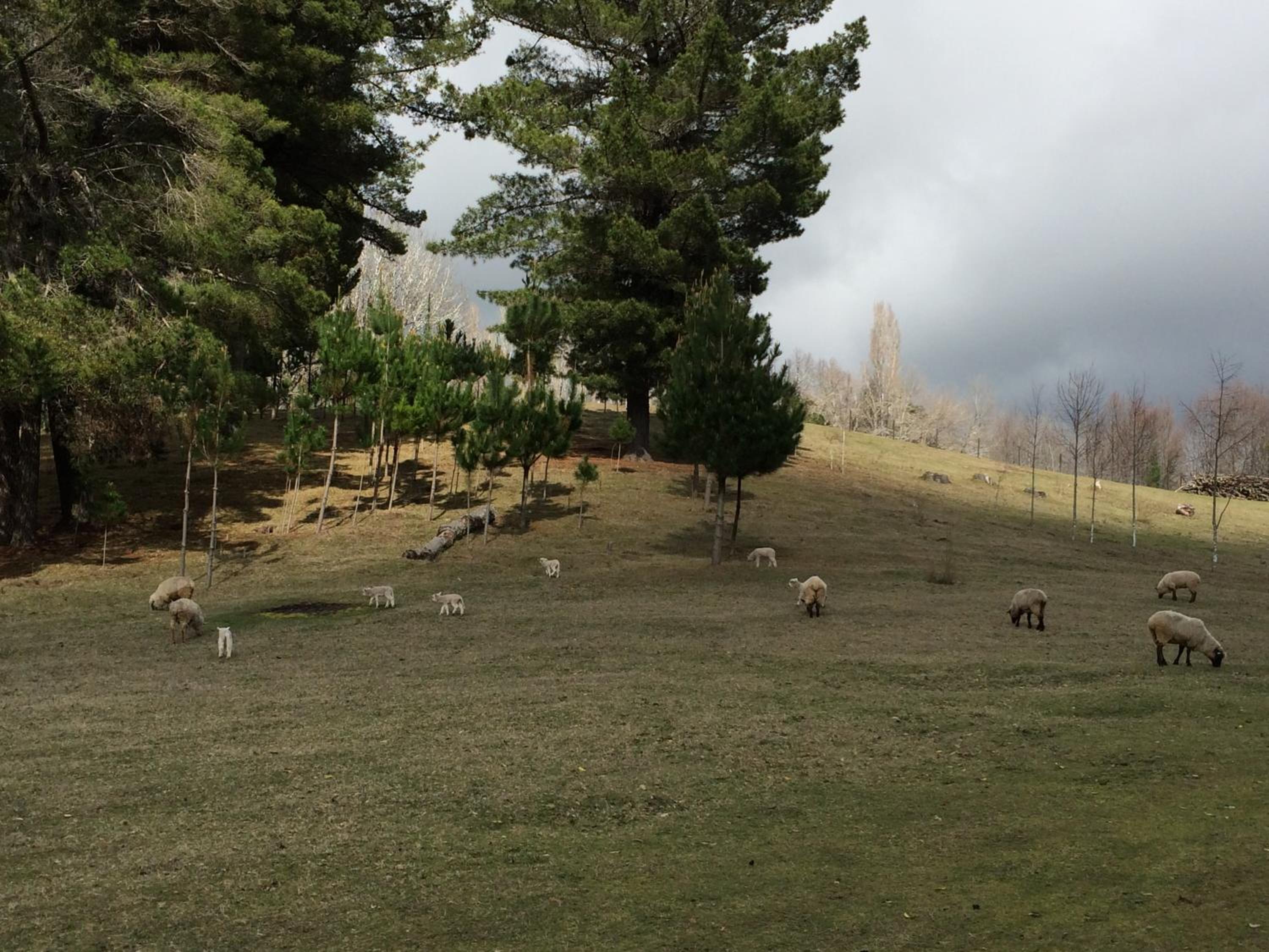 Rancho Saeta