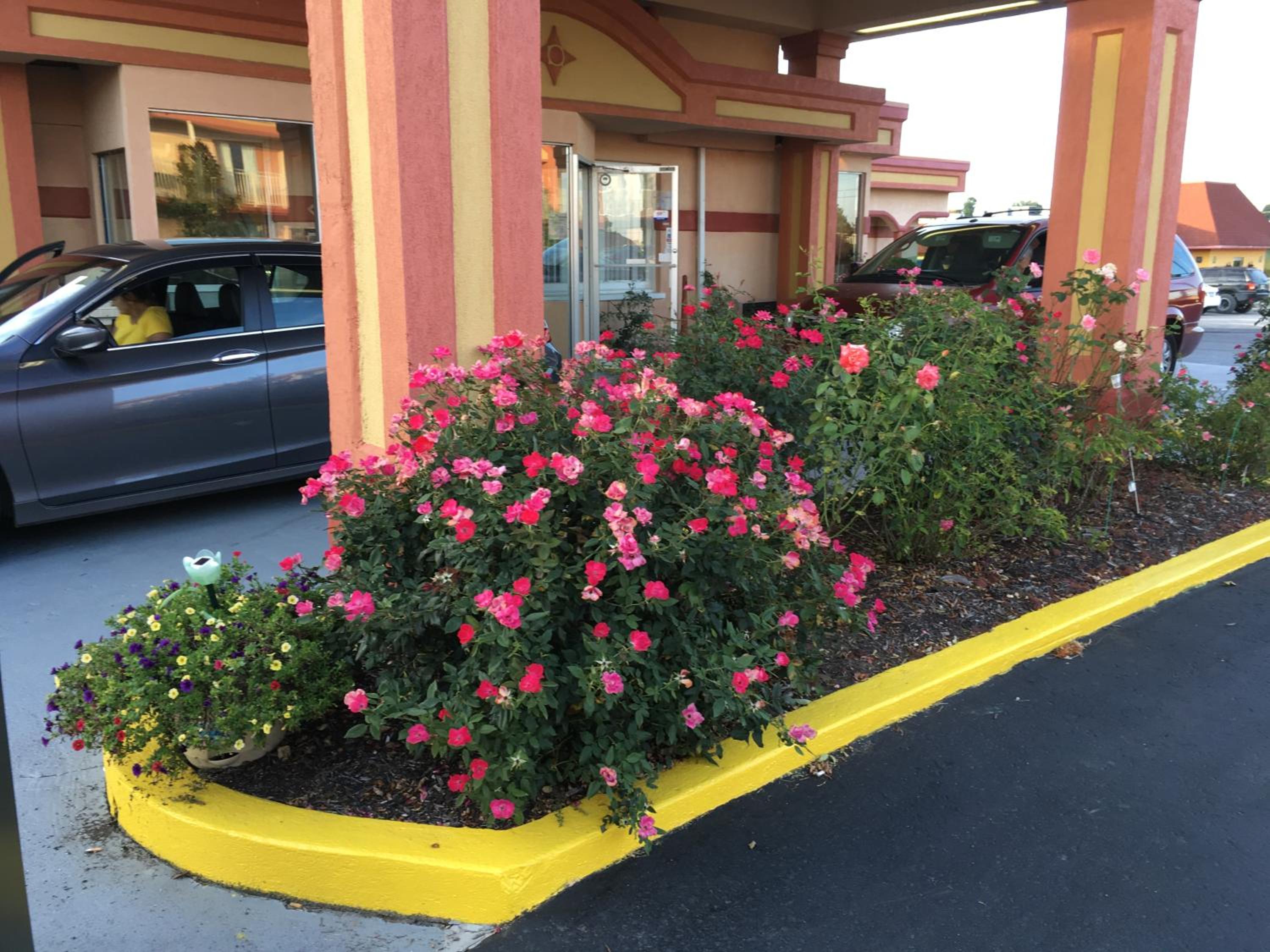 Americas Best Value Inn & Suites Williamstown view 3