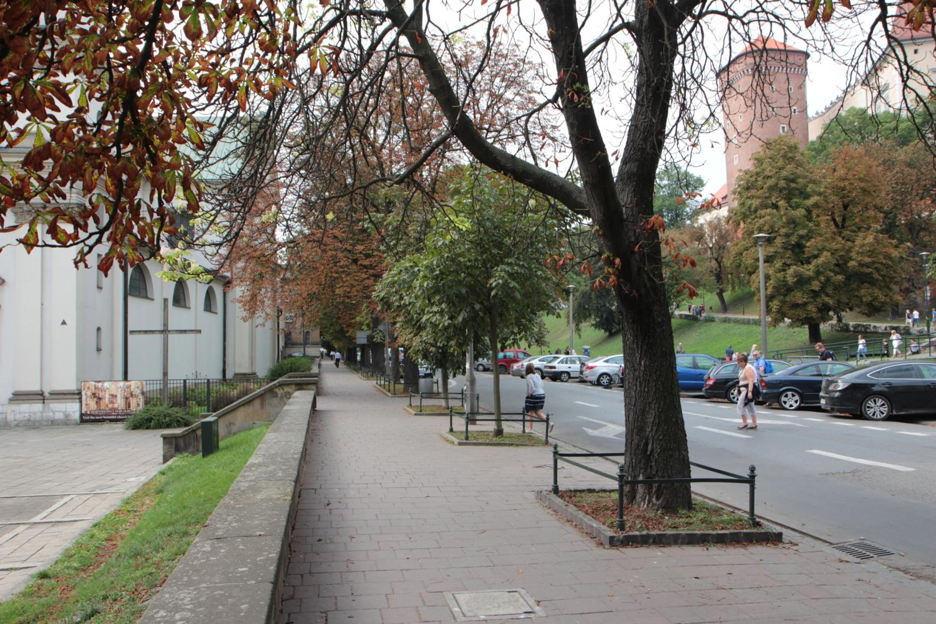 Photo 26