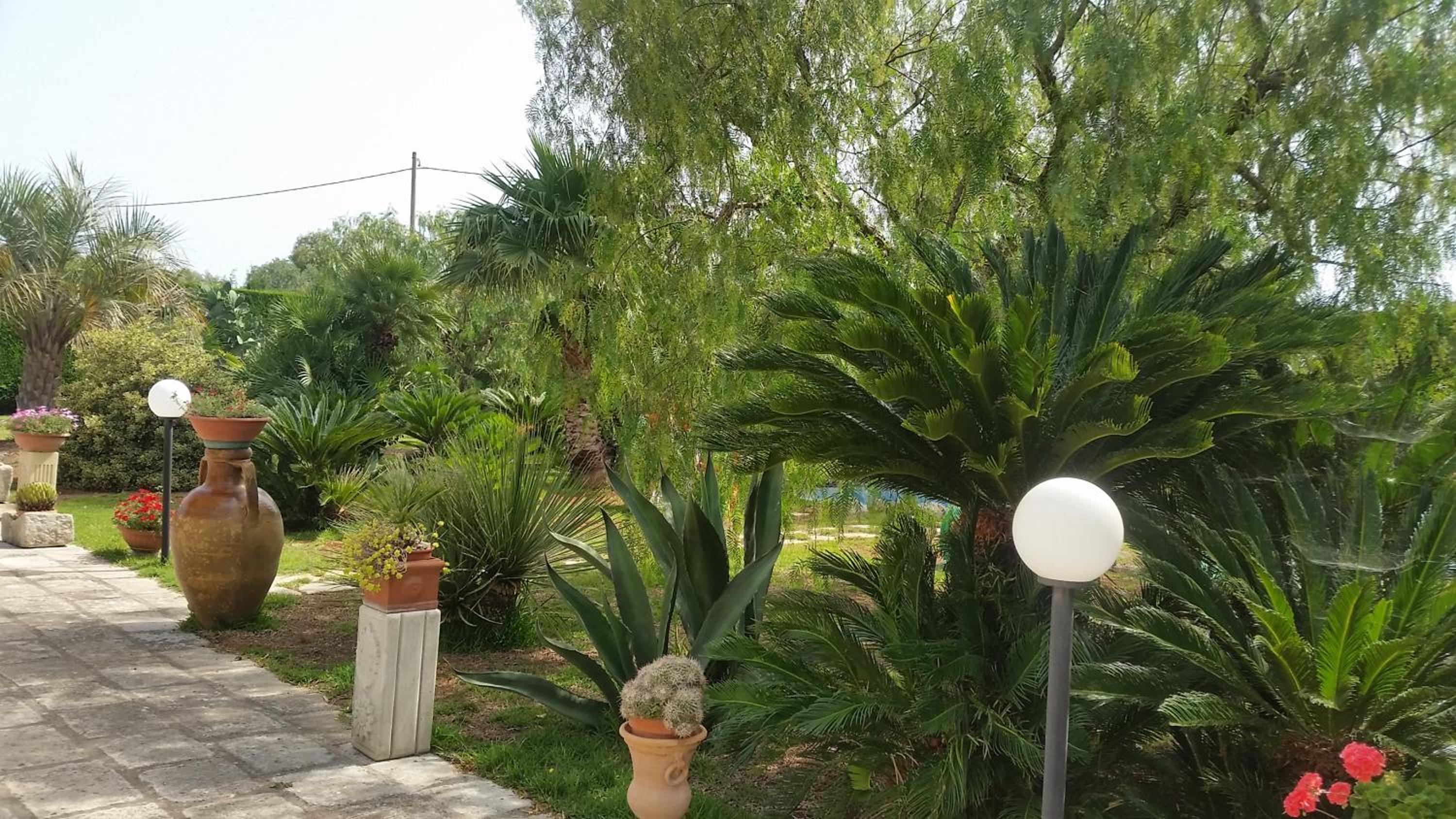 Photo 19