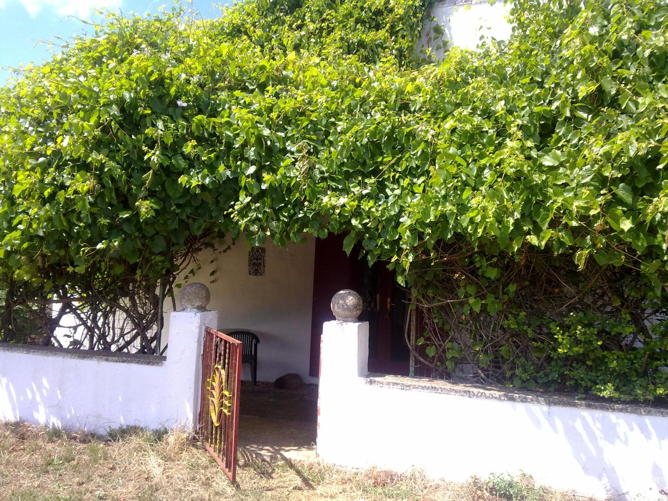 Masseria Murgia Albanese