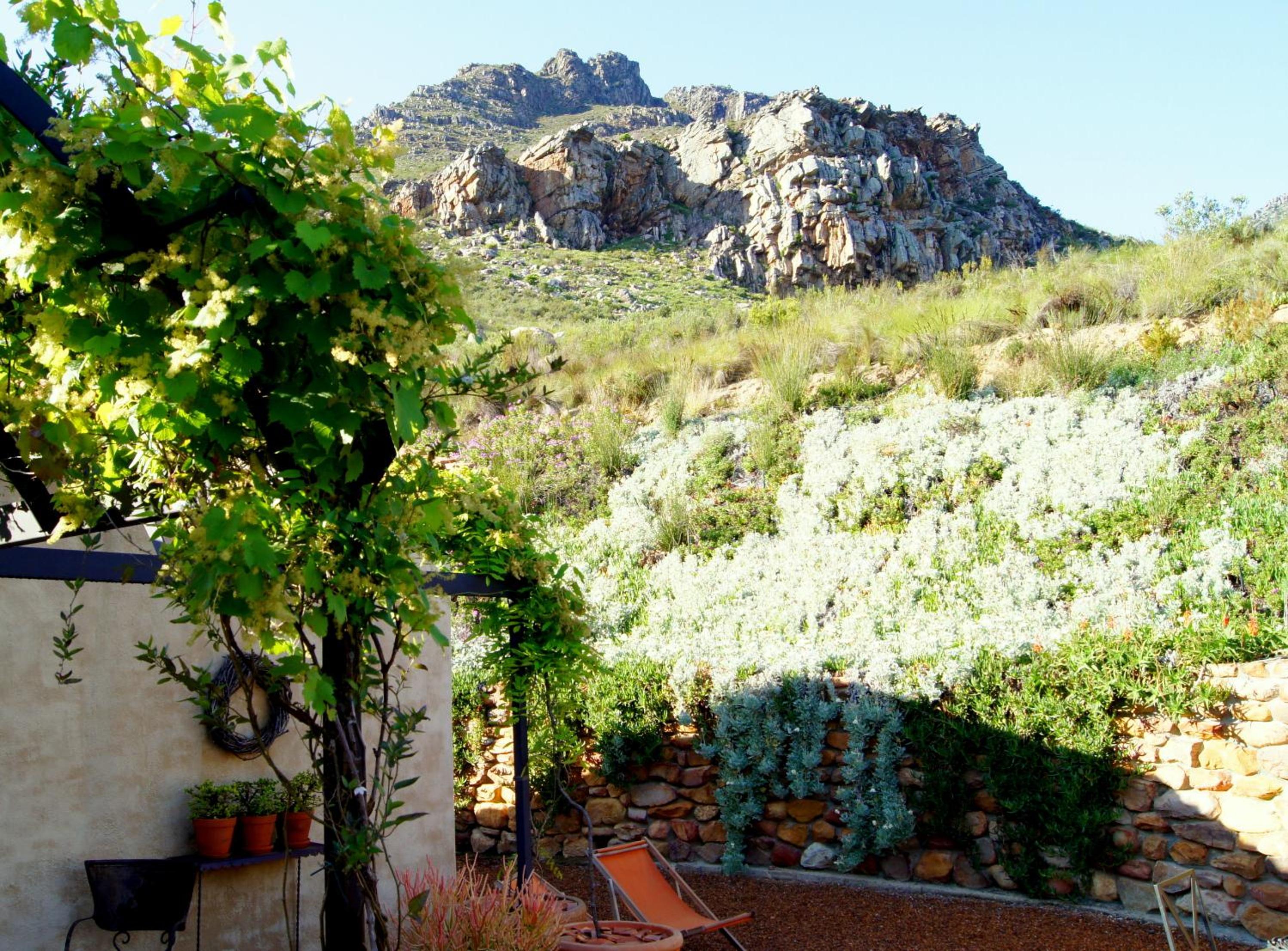 The Cottage @ Montpellier view 3