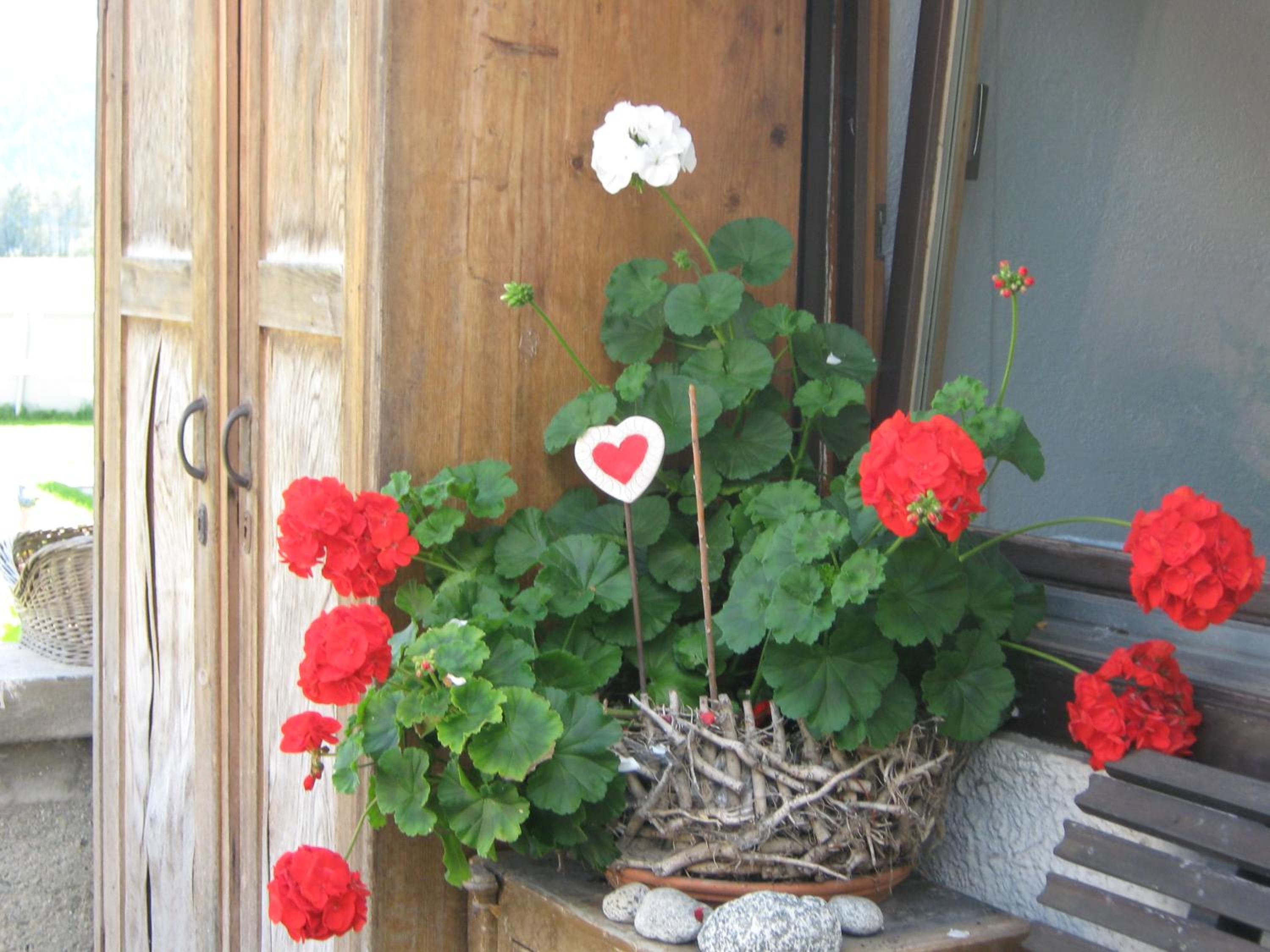 Photo 52