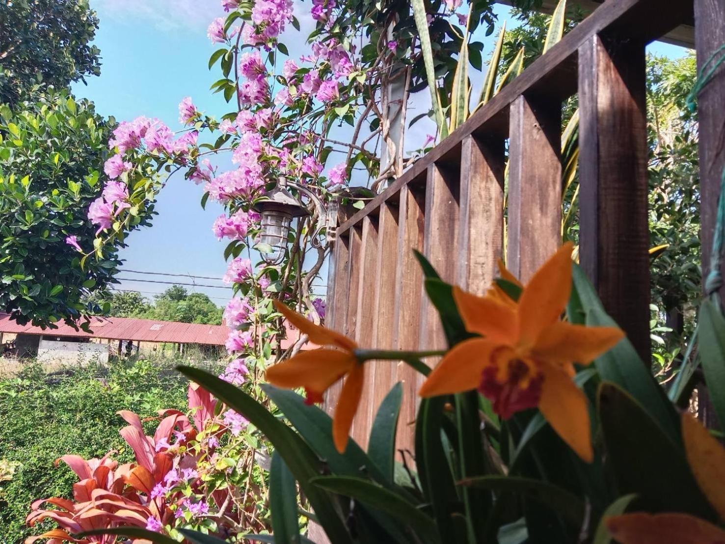 Bo Cabin in Garden โบคาบิน อิน การ์เดน