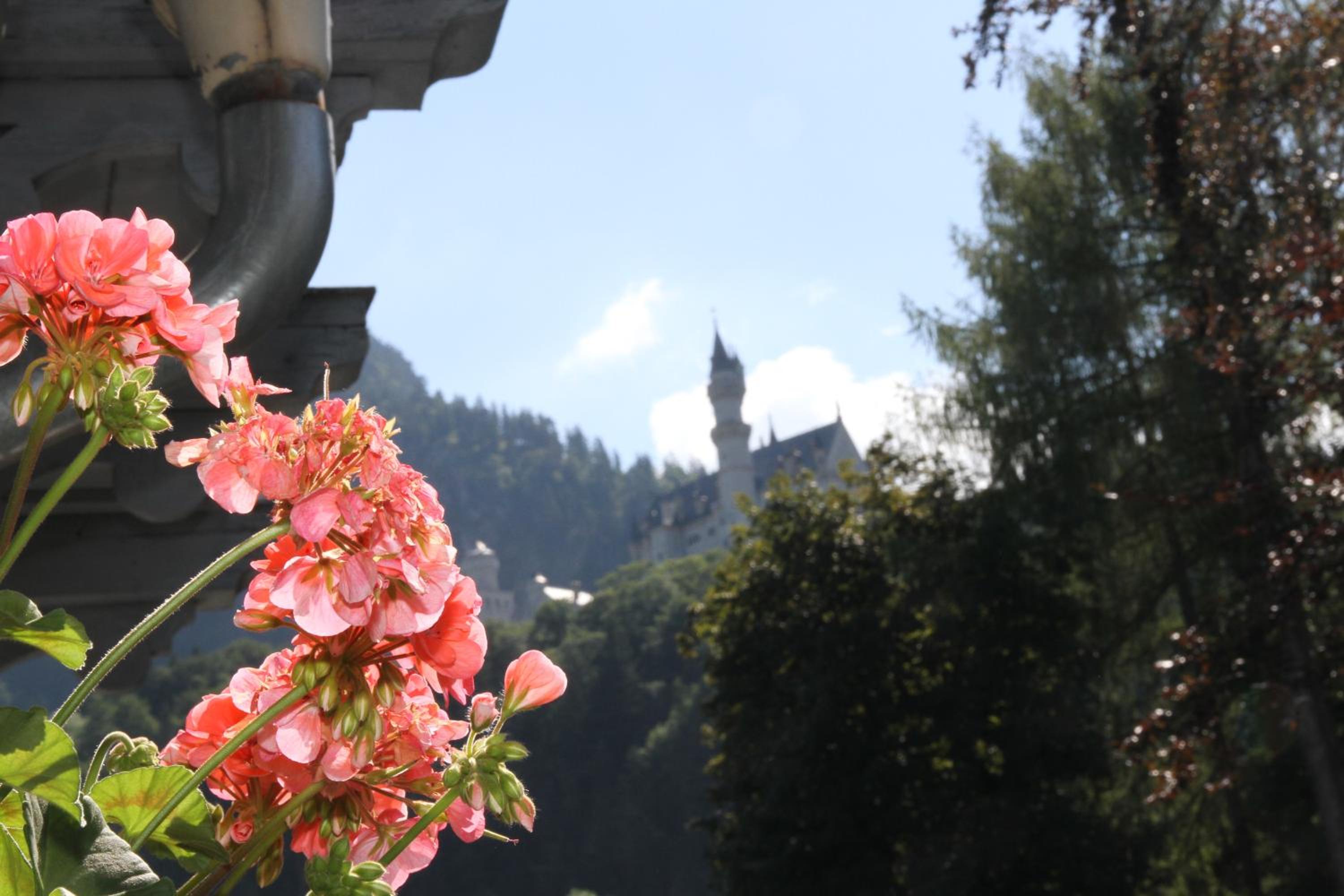 Romantic-Pension Albrecht - Villa next to UNESCO World Heritage - since 1901