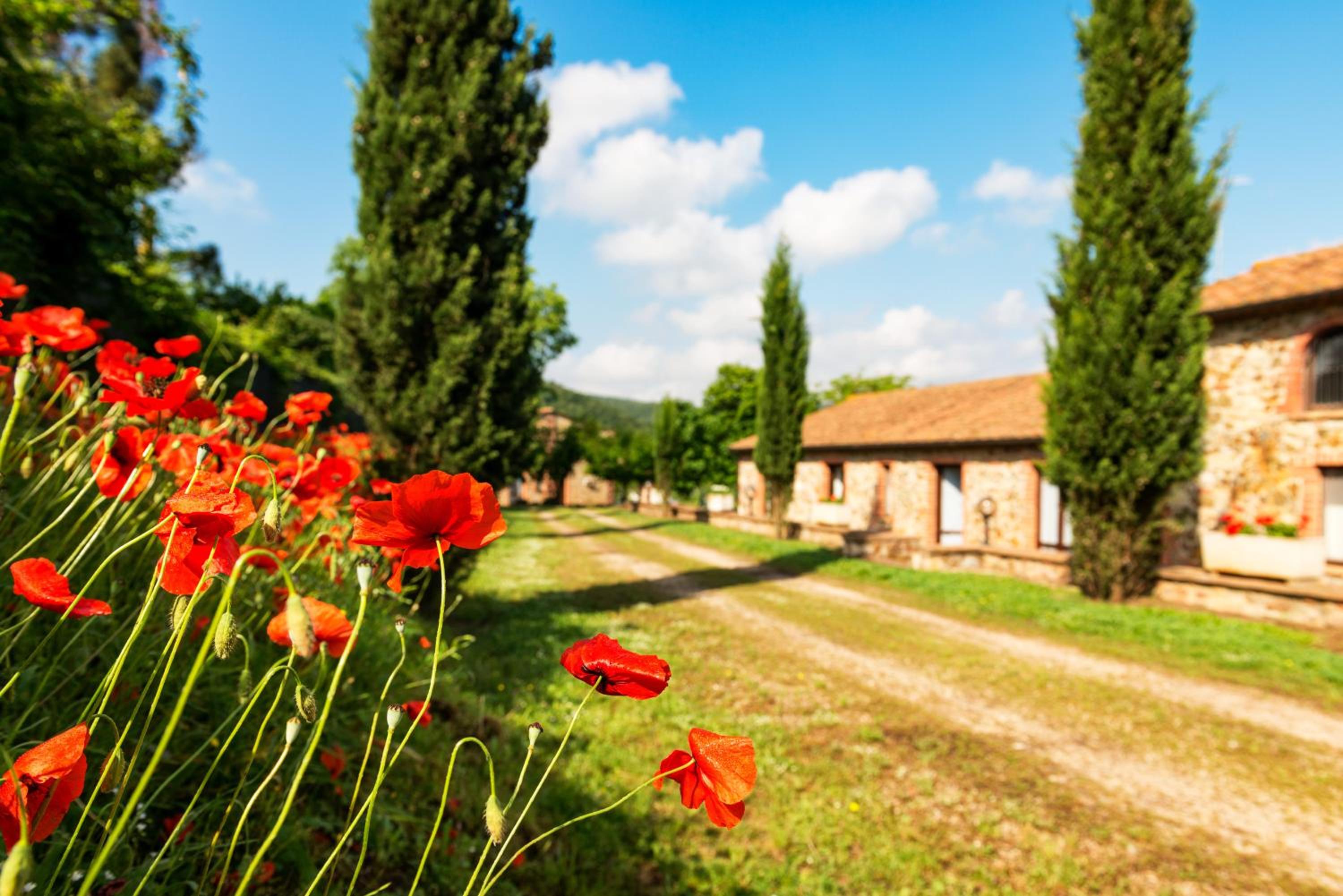 Hotiday Massa Marittima