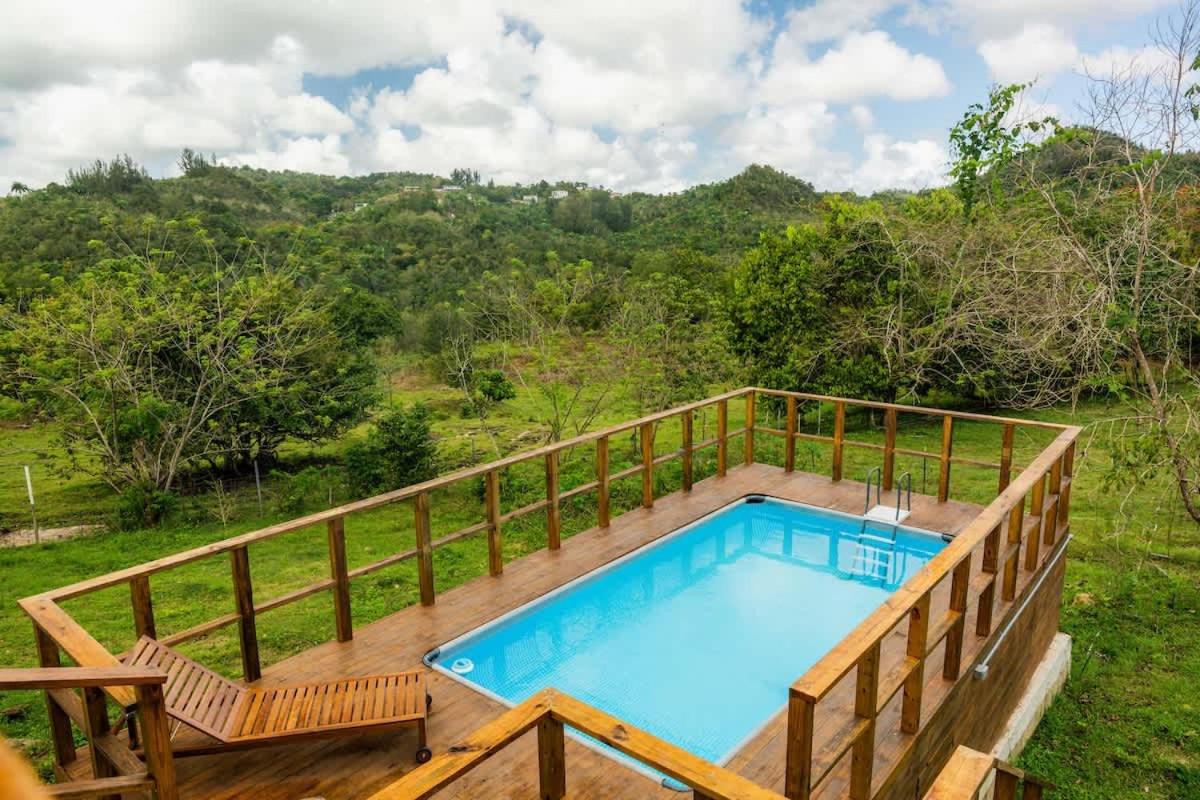 Pastoreo | River Trail | Generator | Morovis, PR