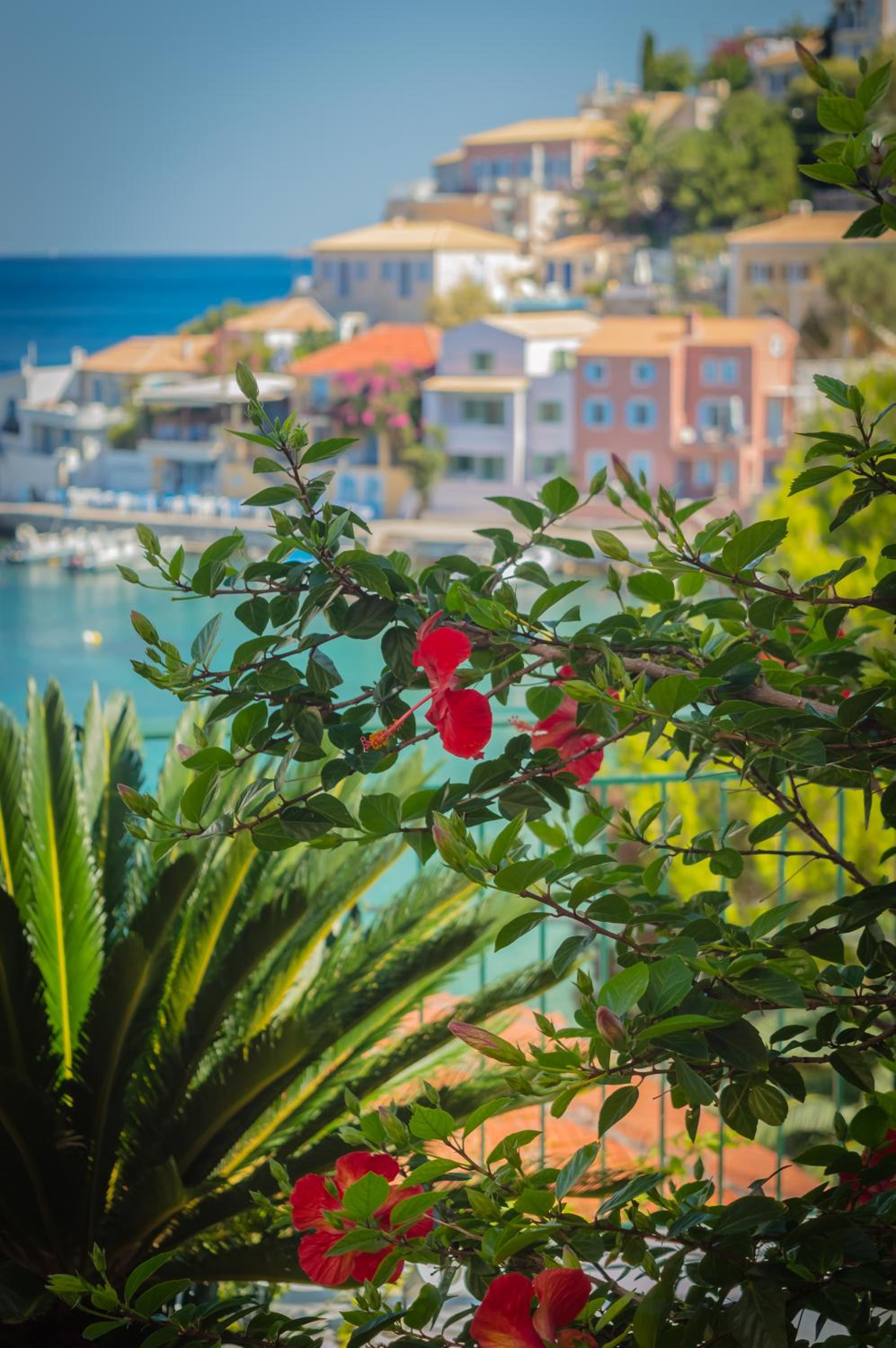Dionos Villa with Jacuzzi view 2
