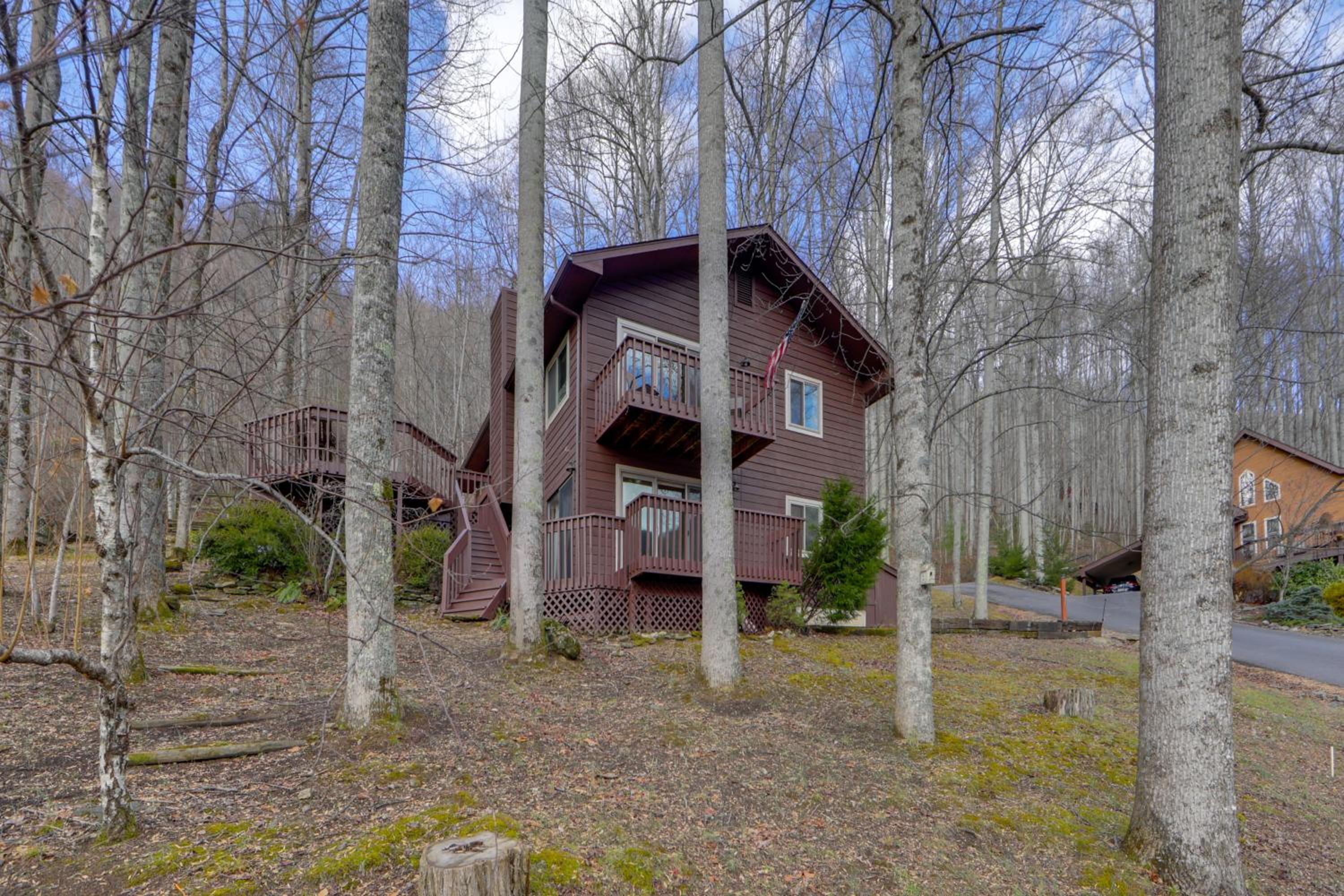 Dog-Friendly Cabin 6 Mi to Cataloochee Skiing!